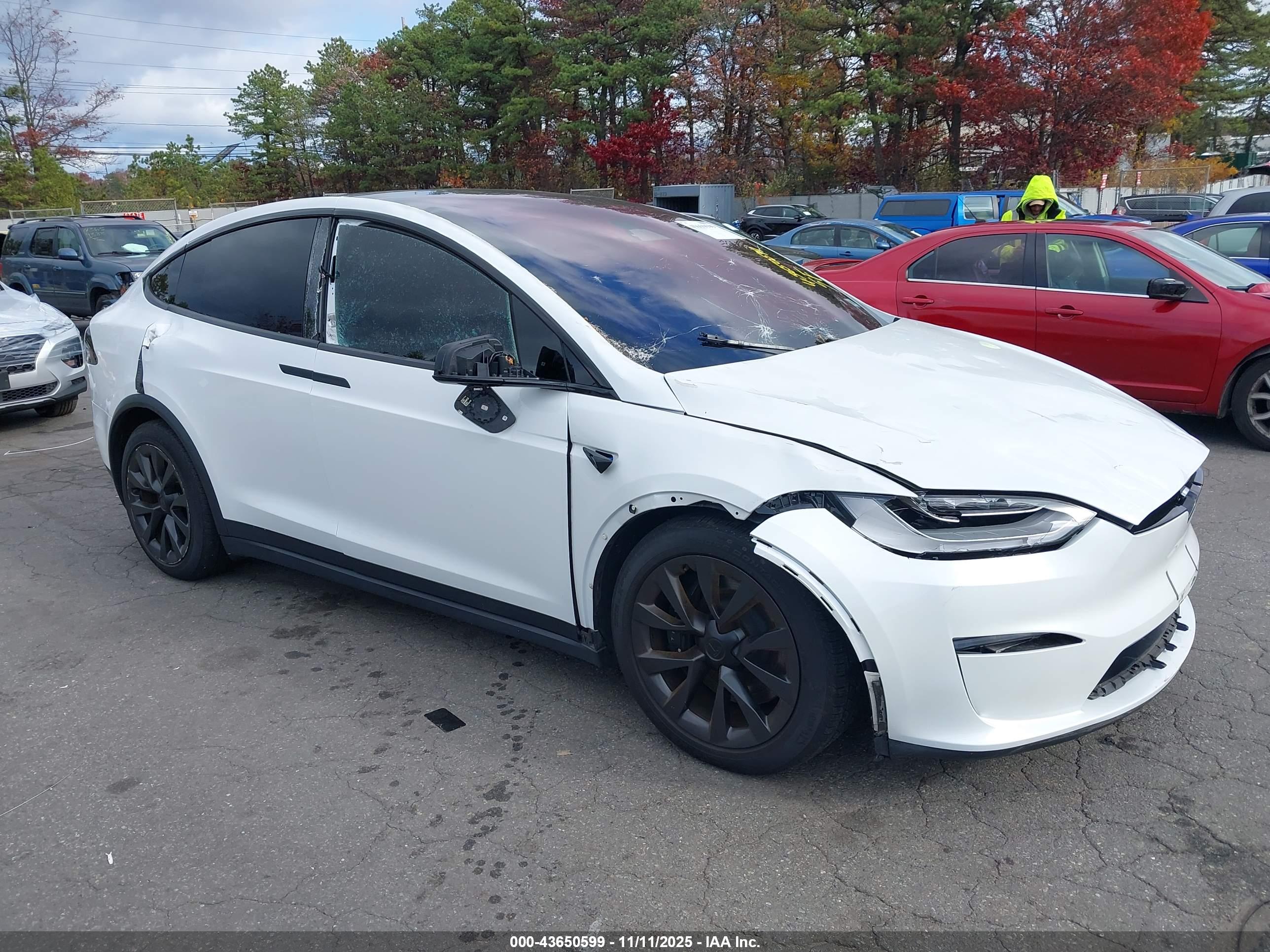 TESLA MODEL image 6