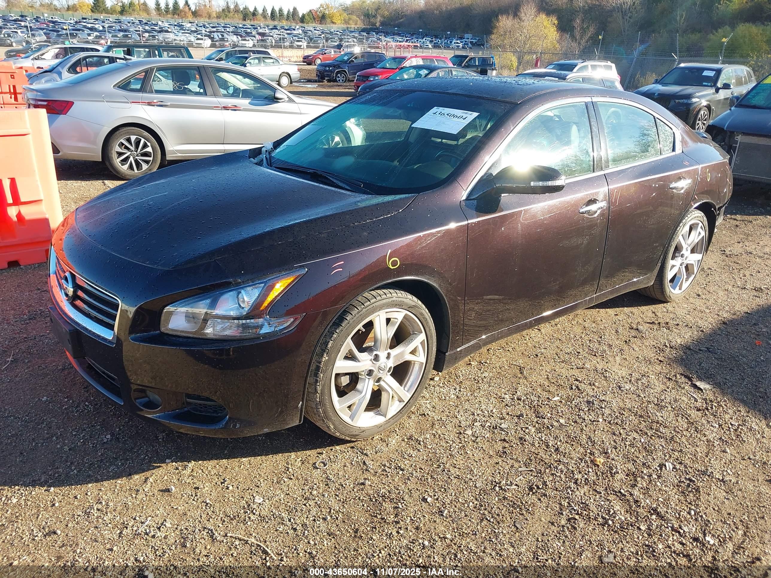 NISSAN MAXIMA image 2