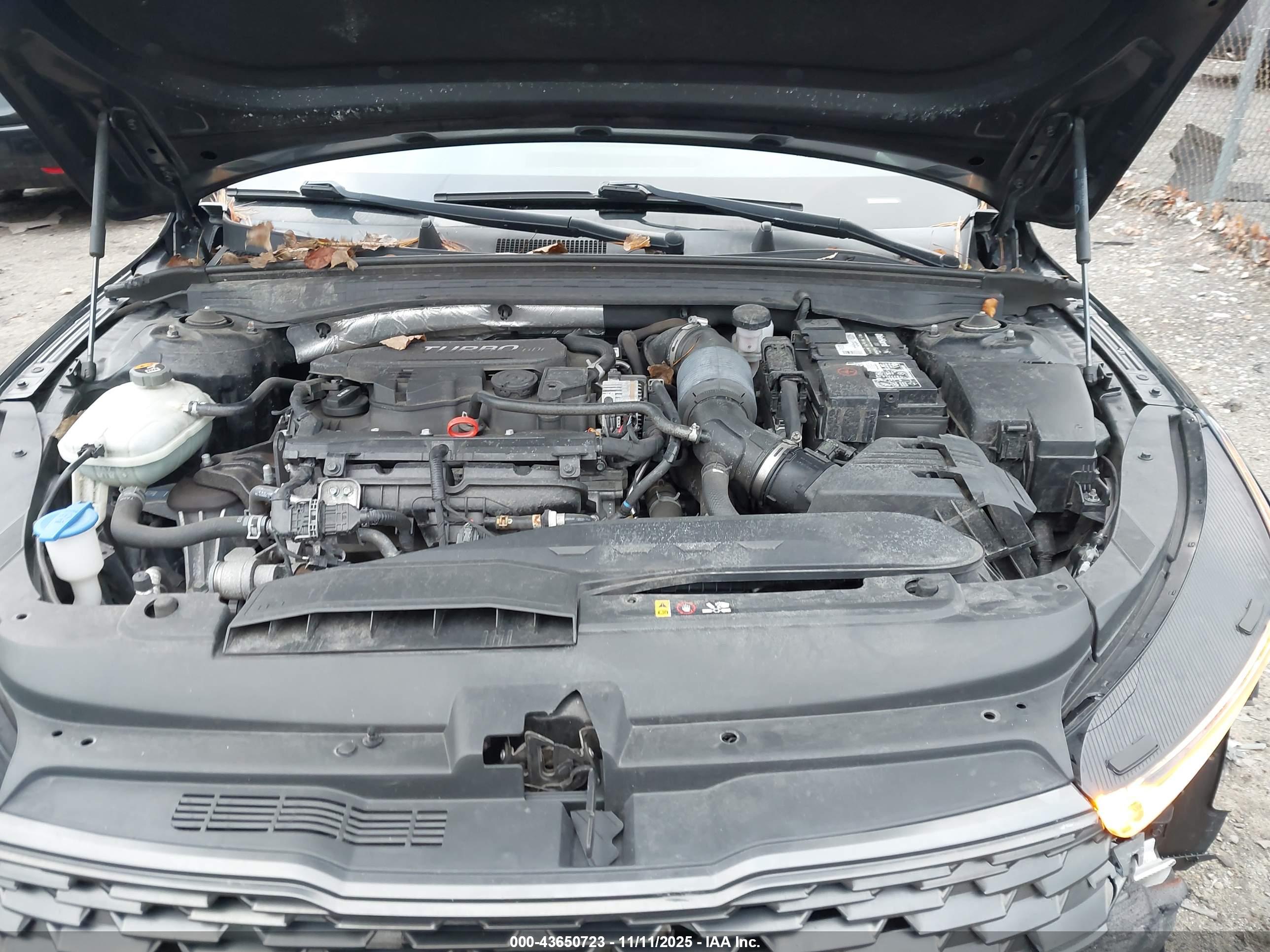 KIA K5 image 10