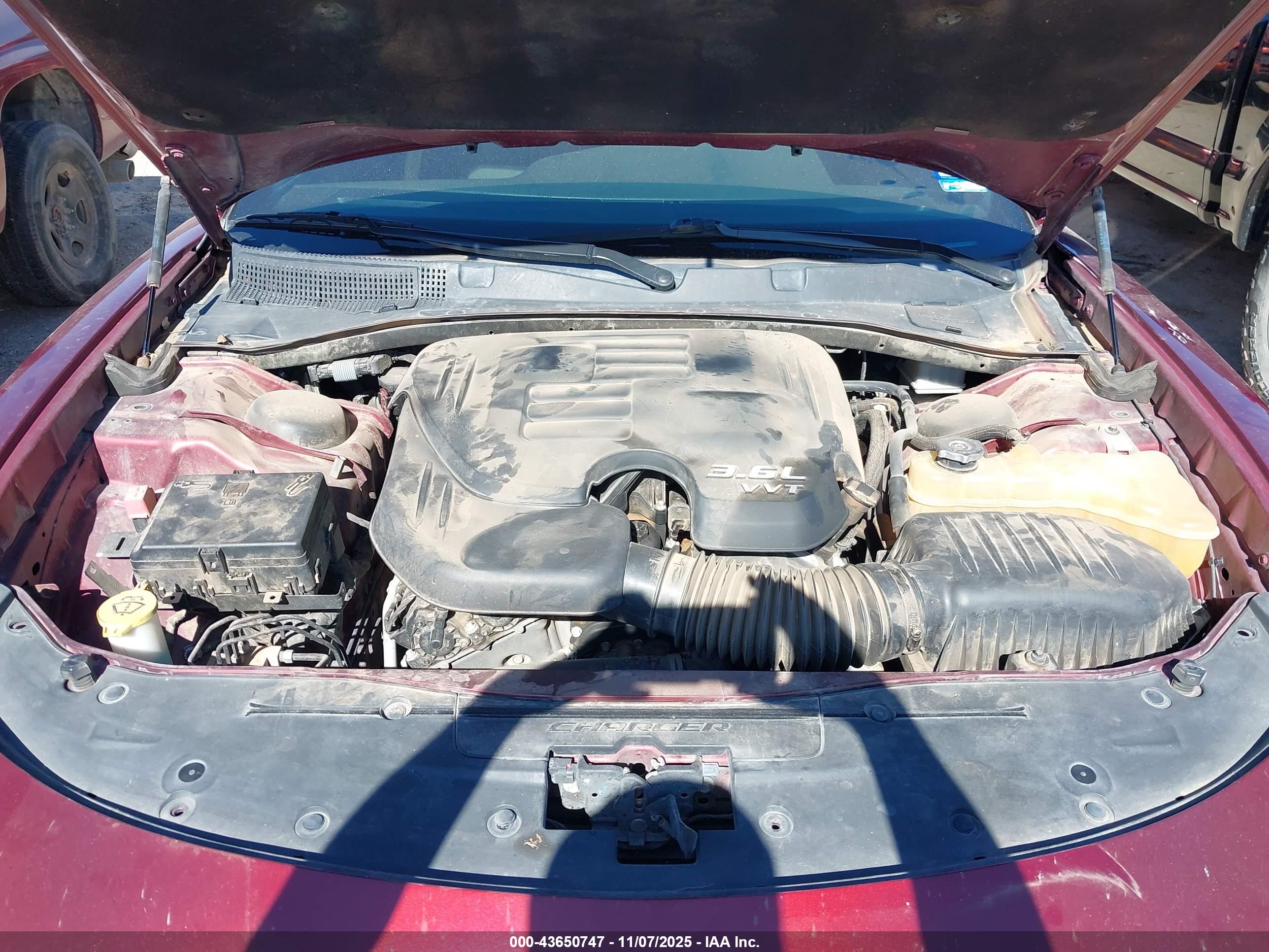 DODGE CHARGER image 10
