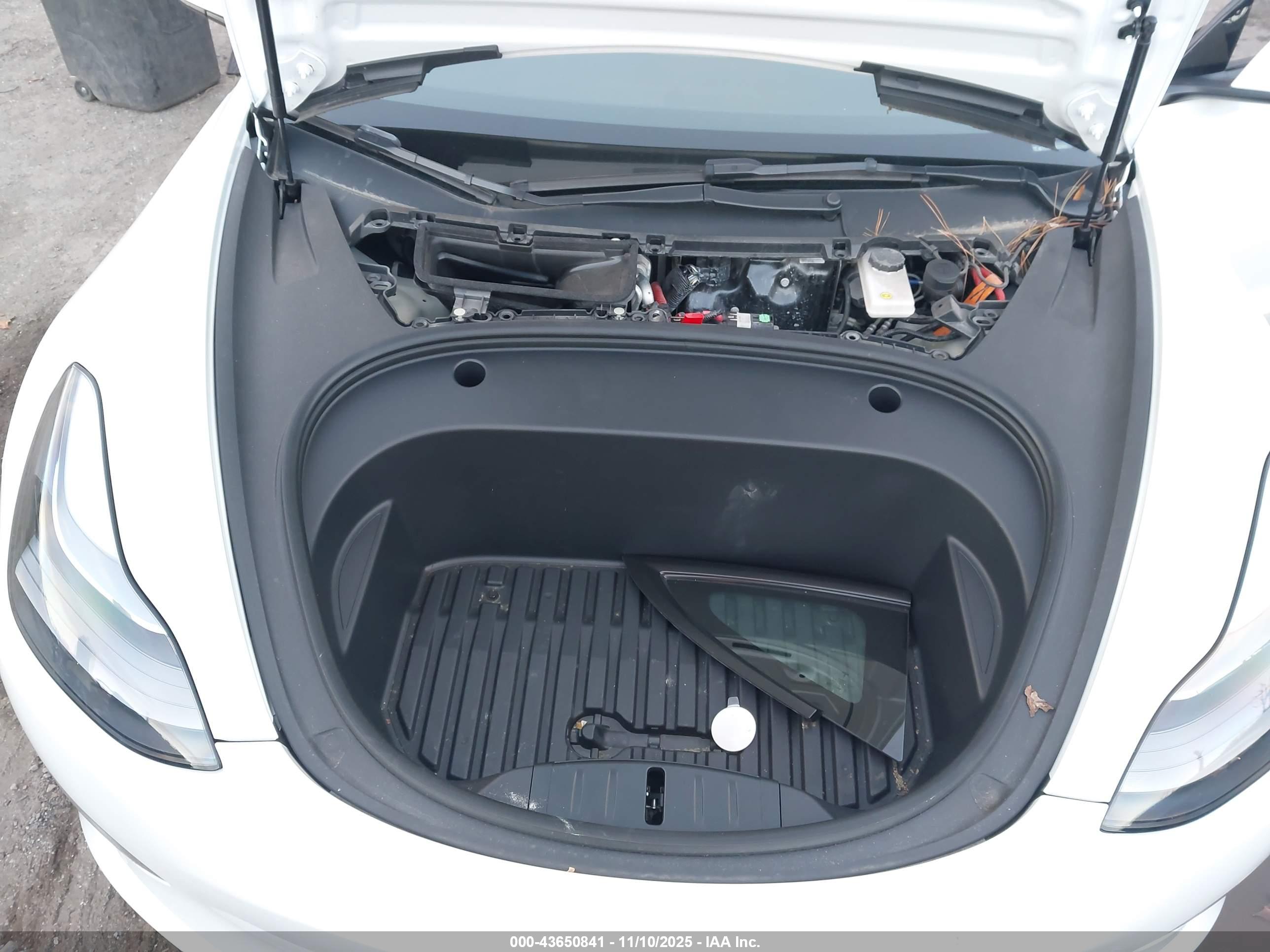 TESLA MODEL image 10
