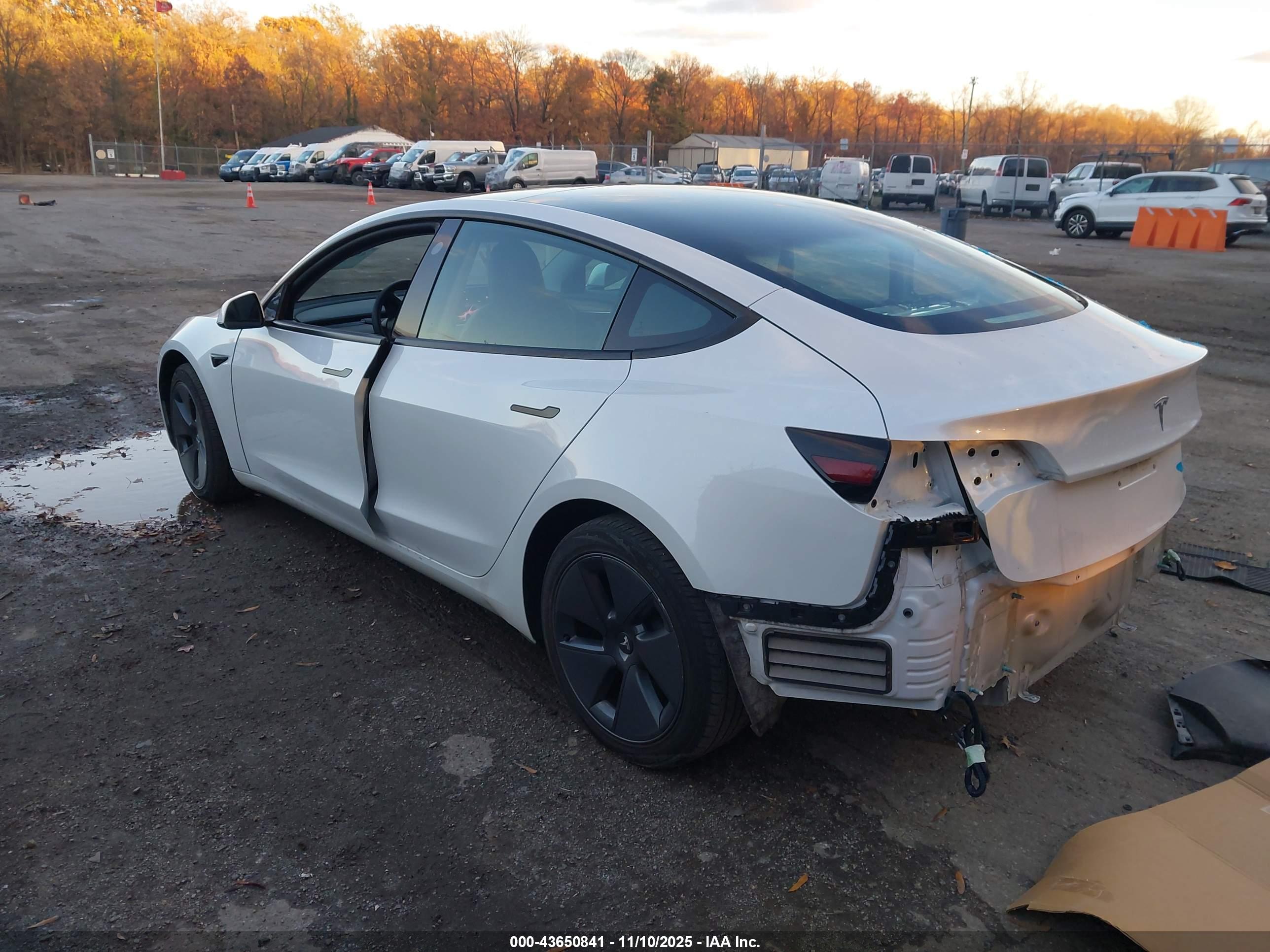 TESLA MODEL image 3