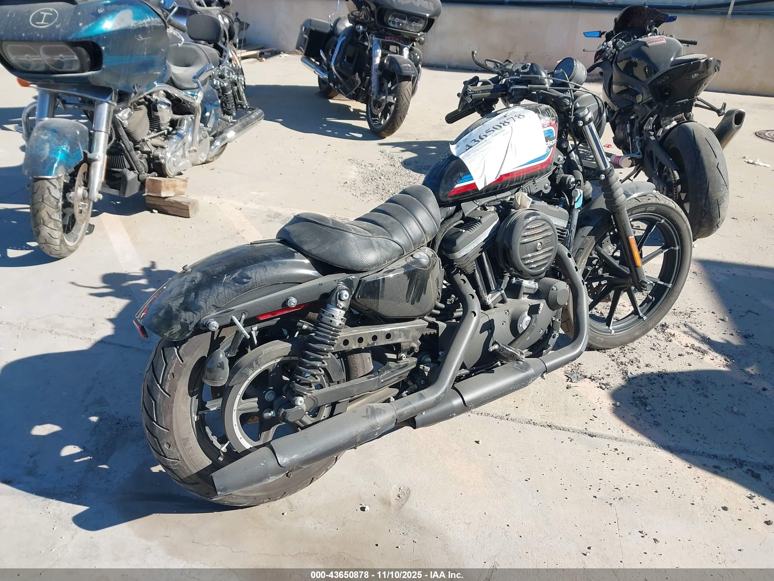 HARLEY-DAVIDSON XL883 image 4