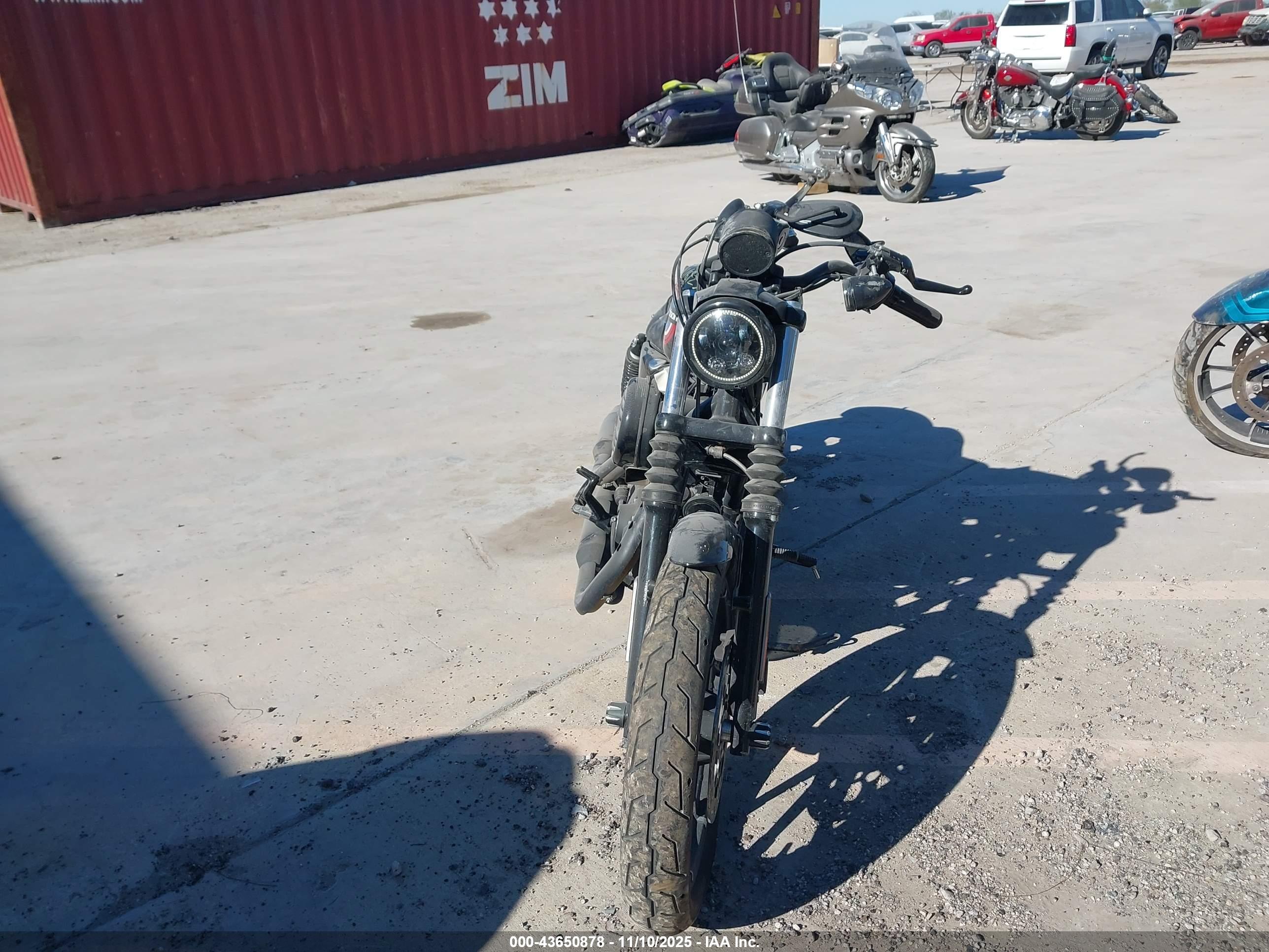 HARLEY-DAVIDSON XL883 image 5