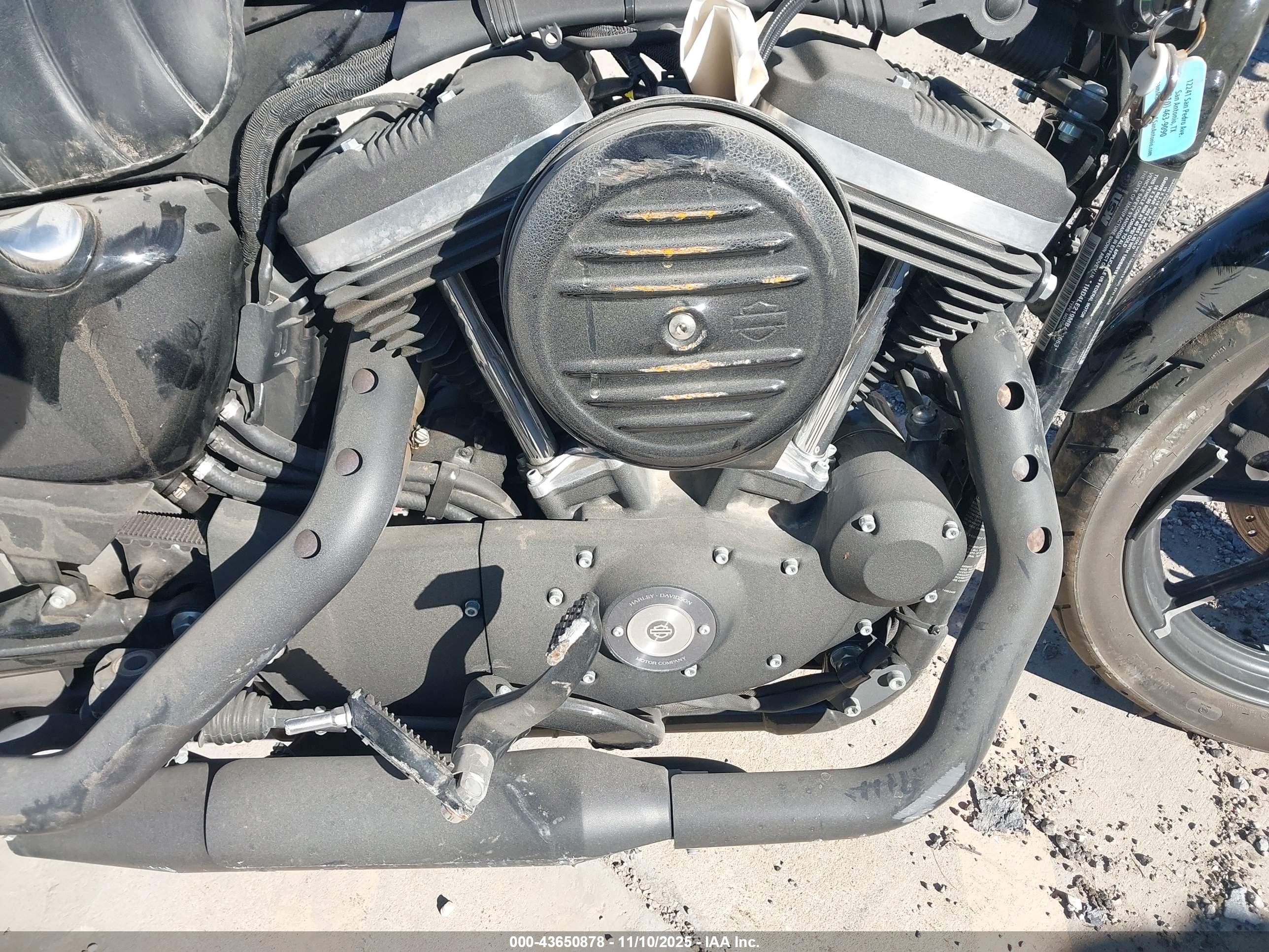HARLEY-DAVIDSON XL883 image 8
