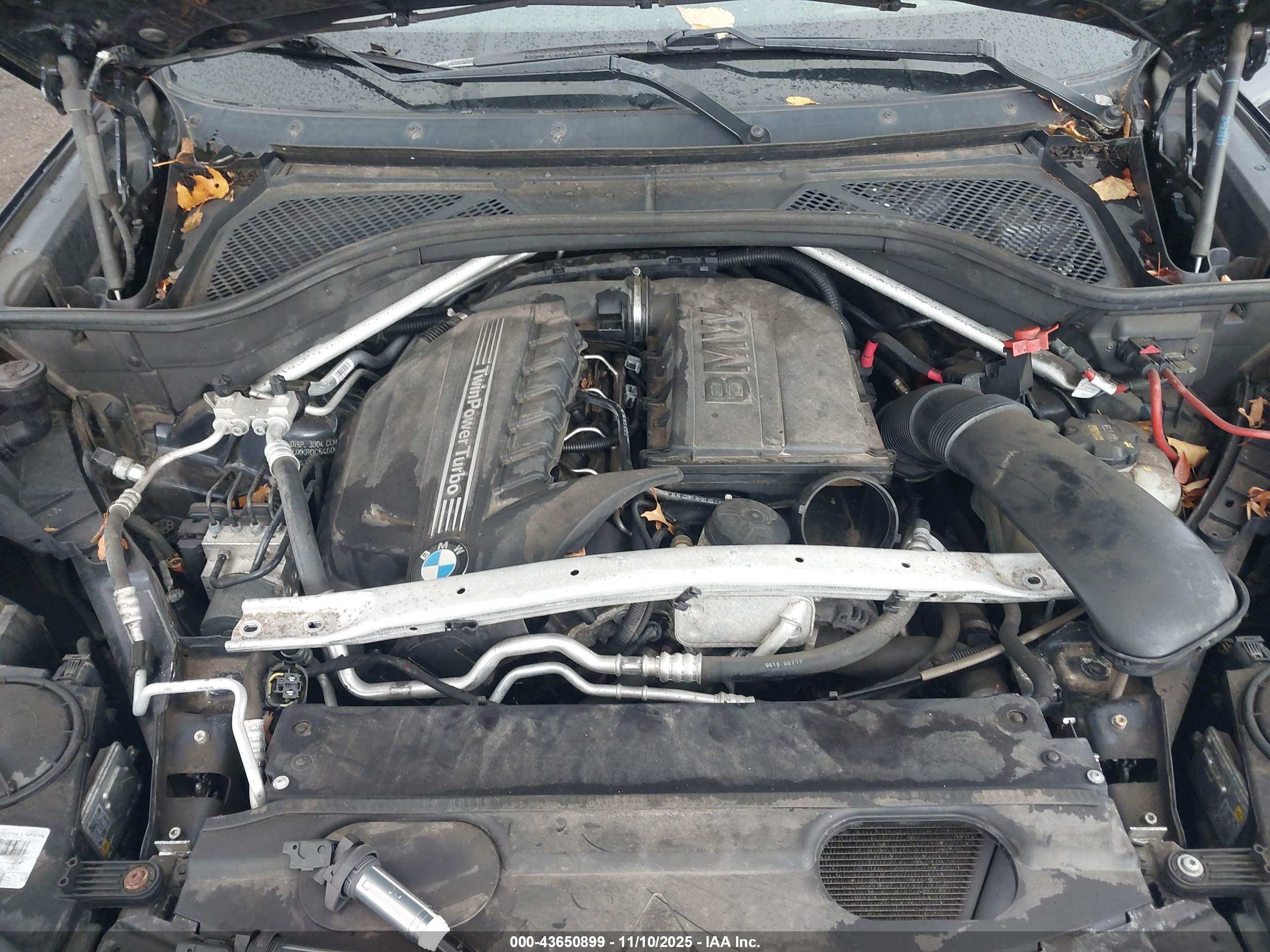 BMW X5 image 10