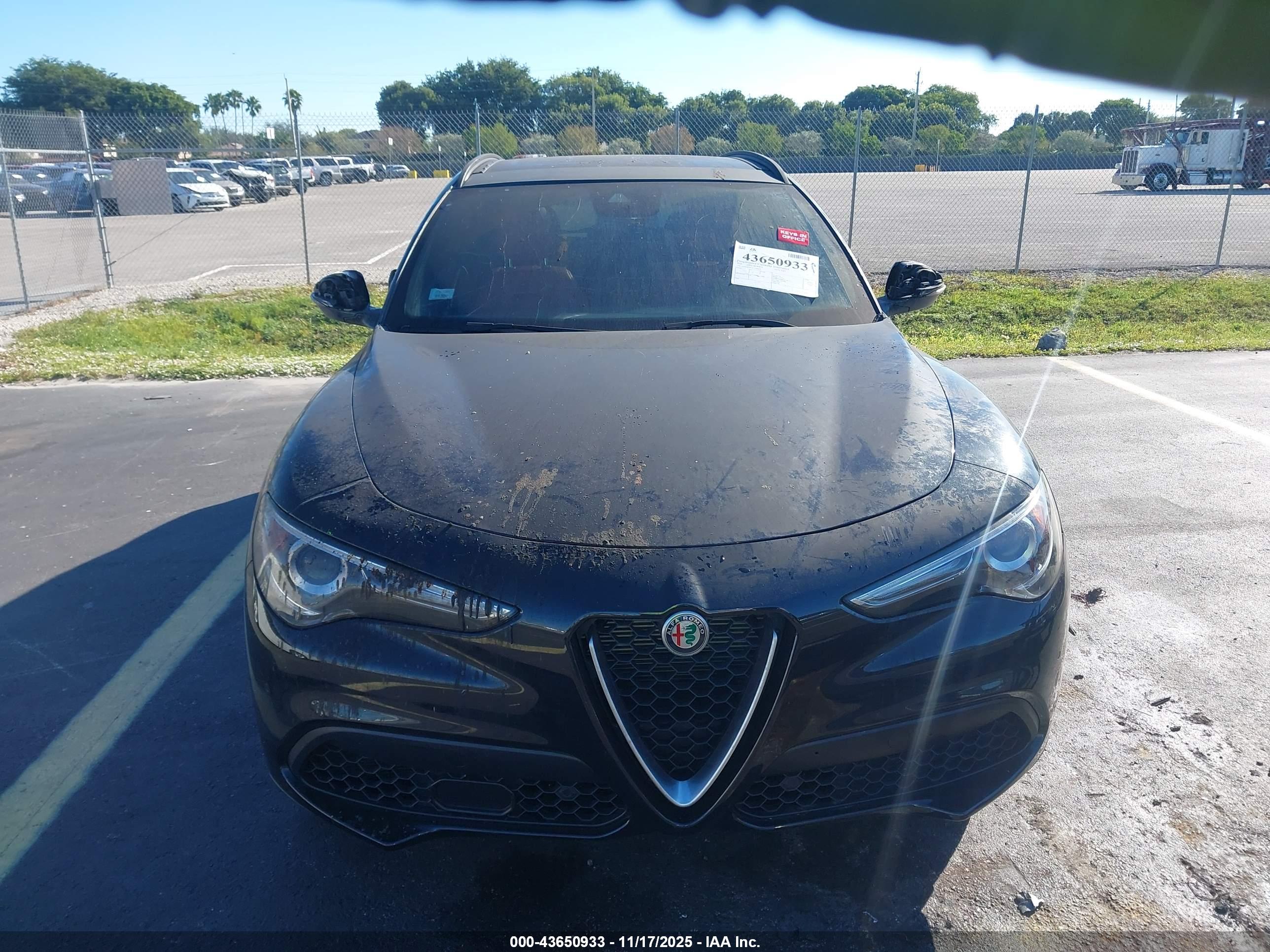 ALFA ROMEO image 6