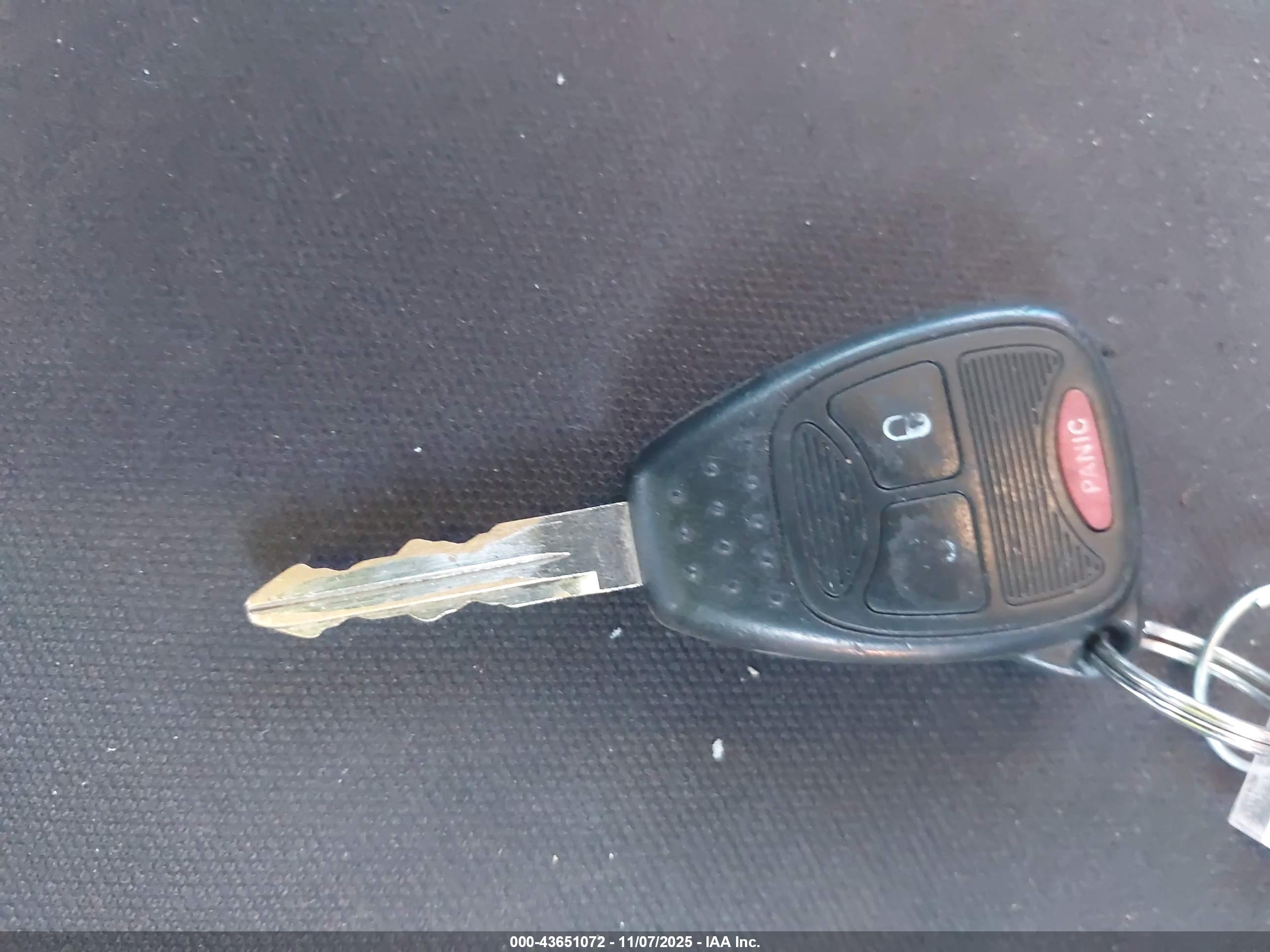 JEEP WRANGLER image 11