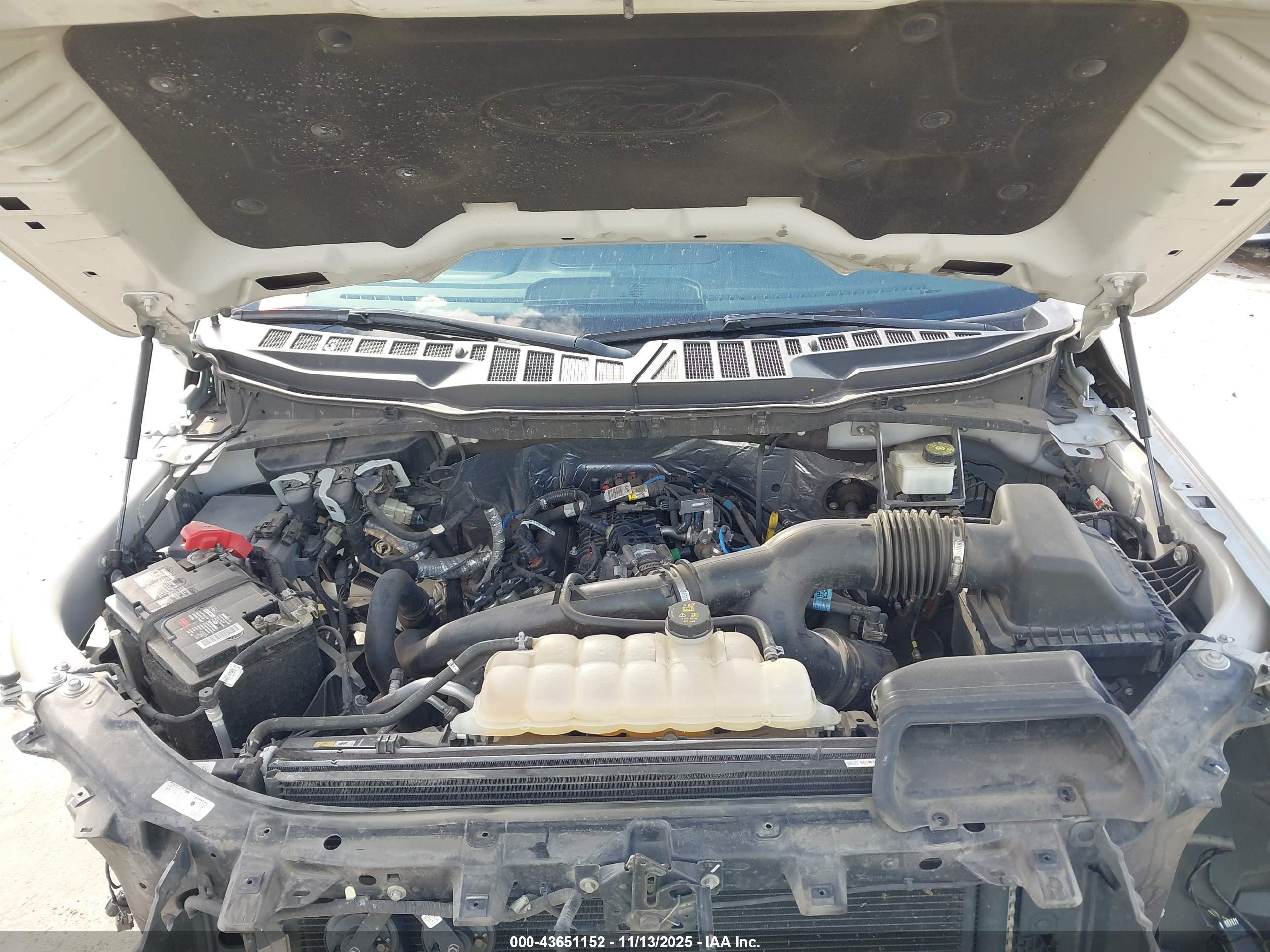 FORD F-150 image 10
