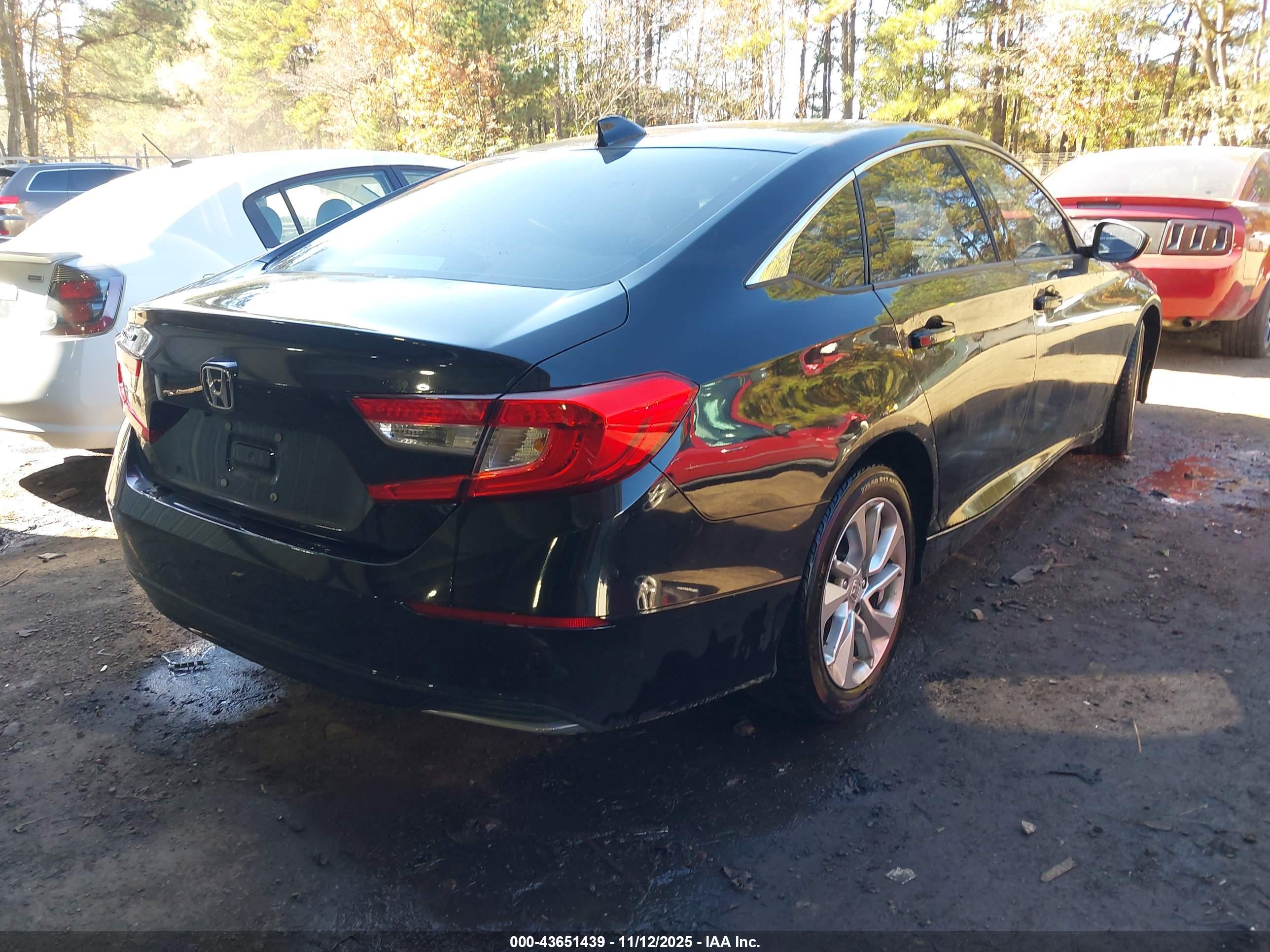 HONDA ACCORD image 4