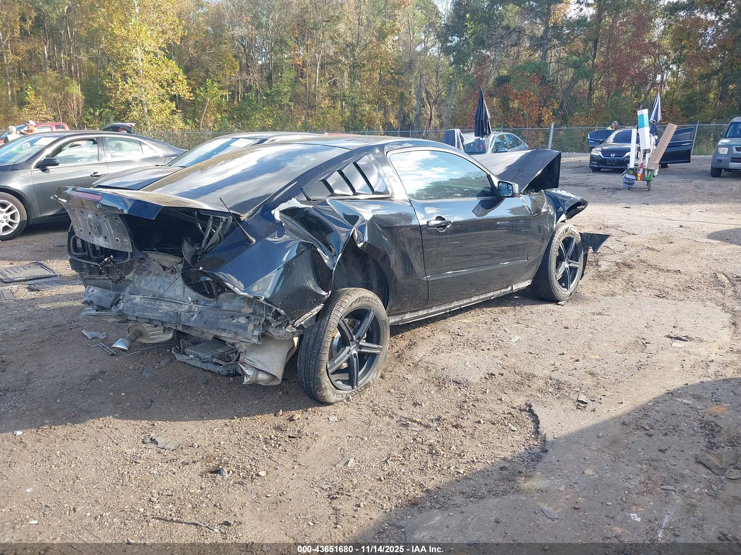 FORD MUSTANG image 4