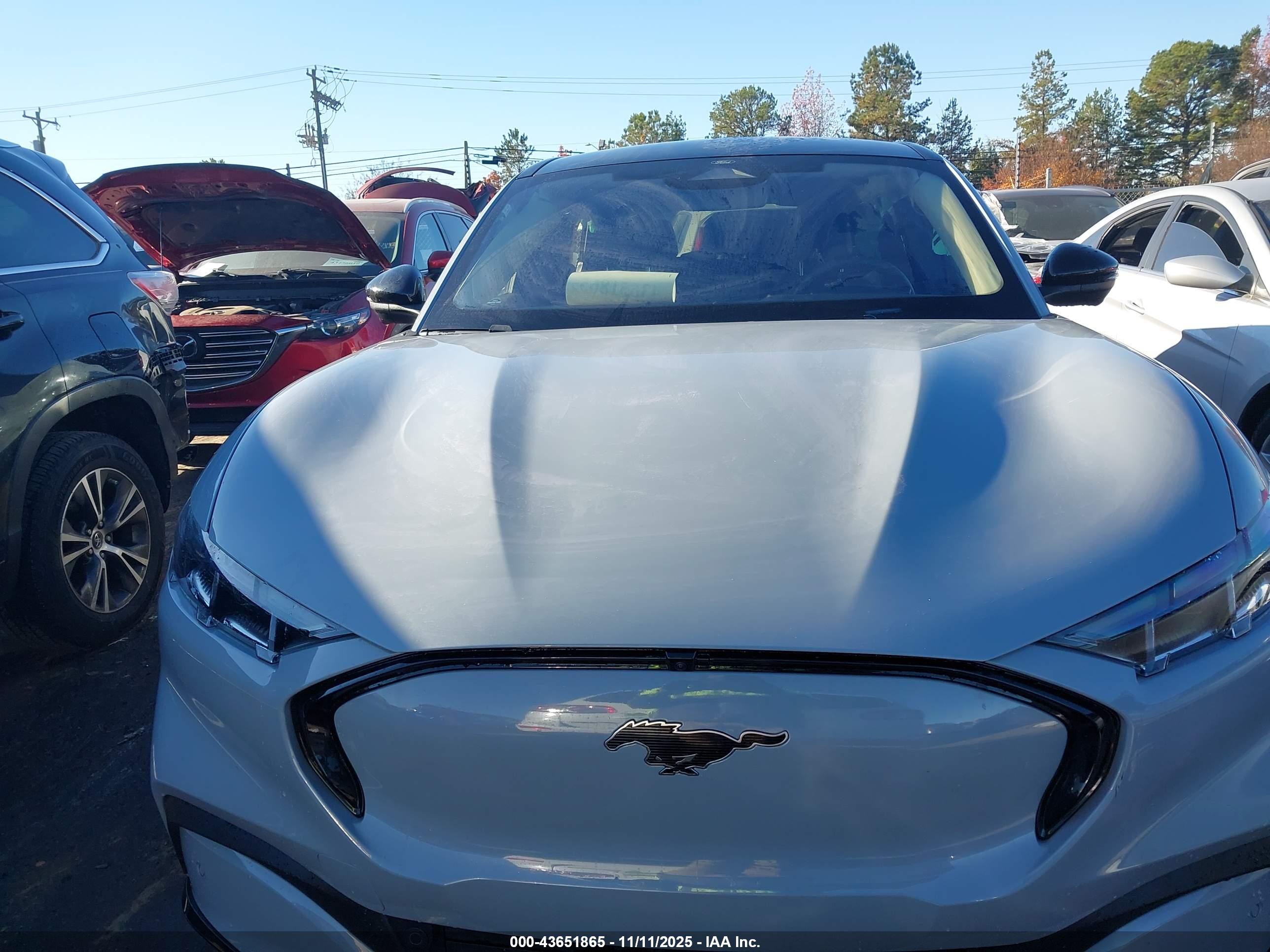 FORD MUSTANG image 10