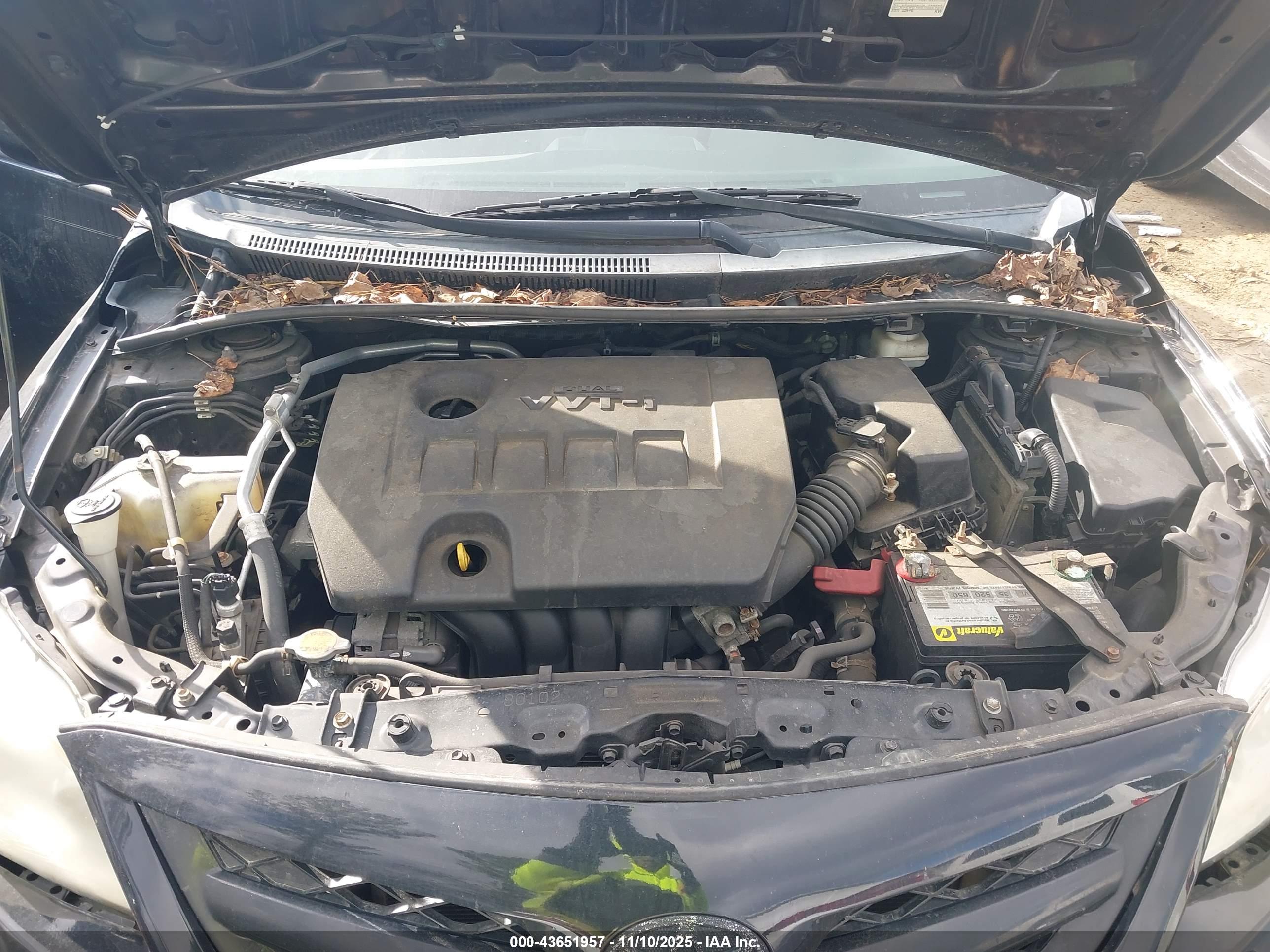 TOYOTA COROLLA image 10
