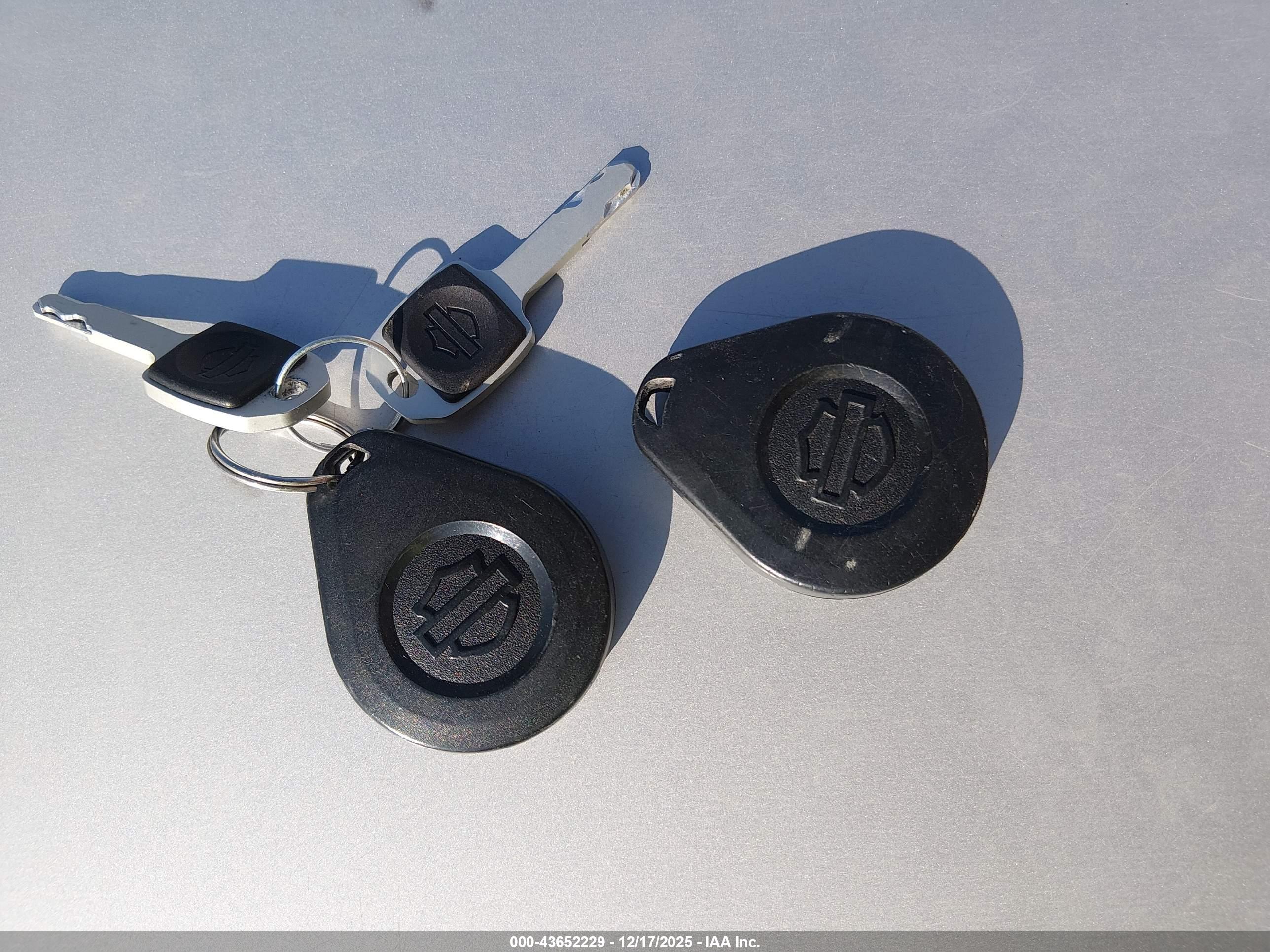 HARLEY-DAVIDSON FLHCS image 11