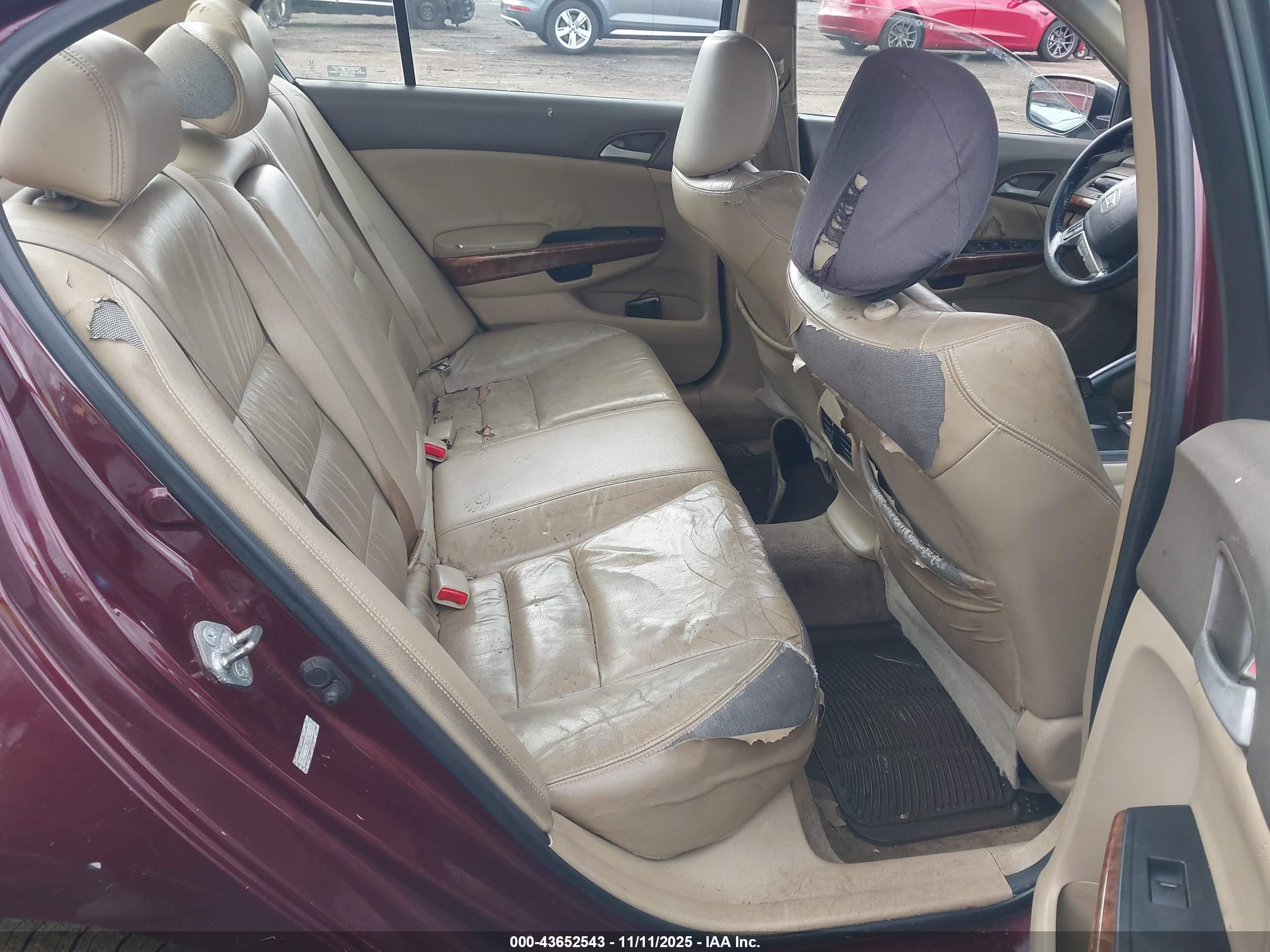 HONDA ACCORD image 8