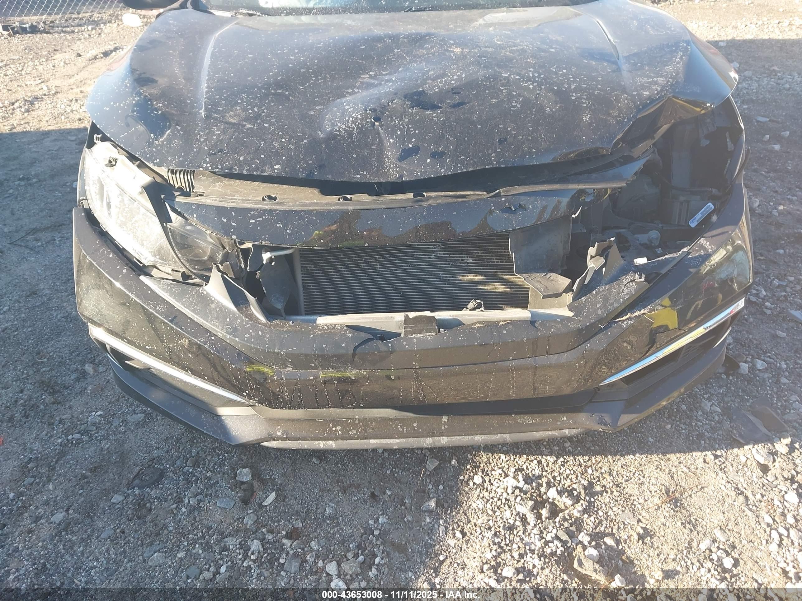 HONDA CIVIC image 6