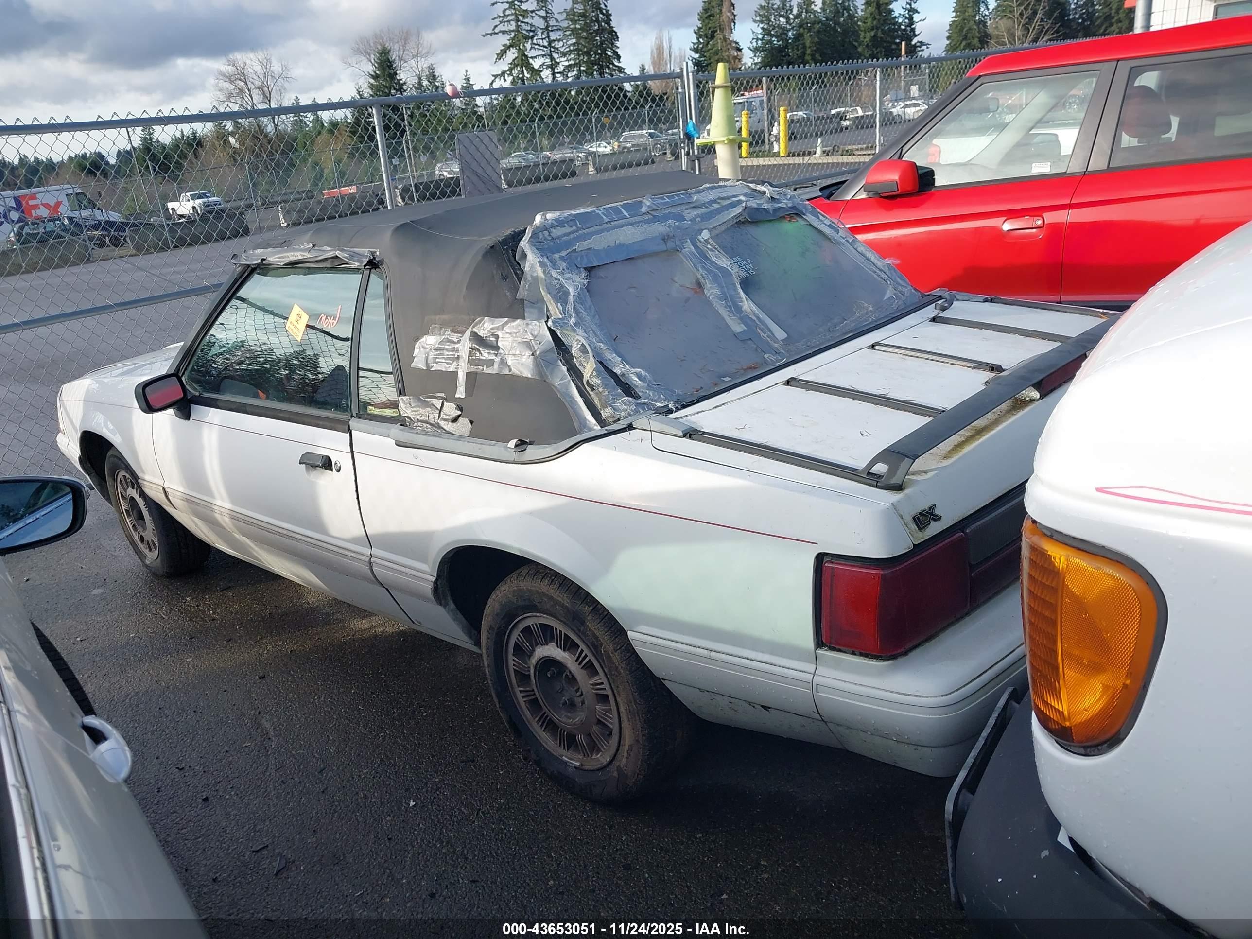 FORD MUSTANG image 3