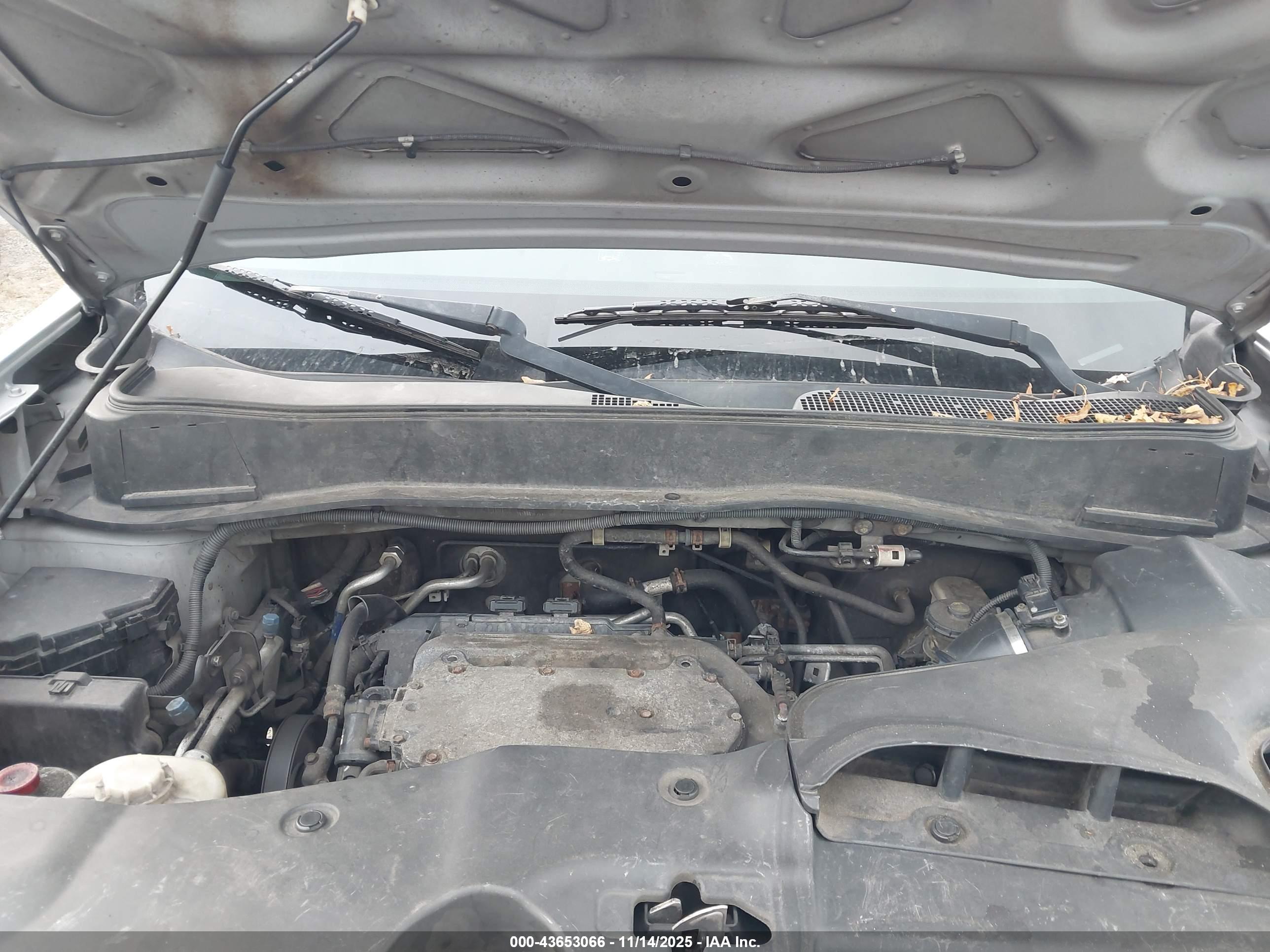 HONDA PILOT image 10