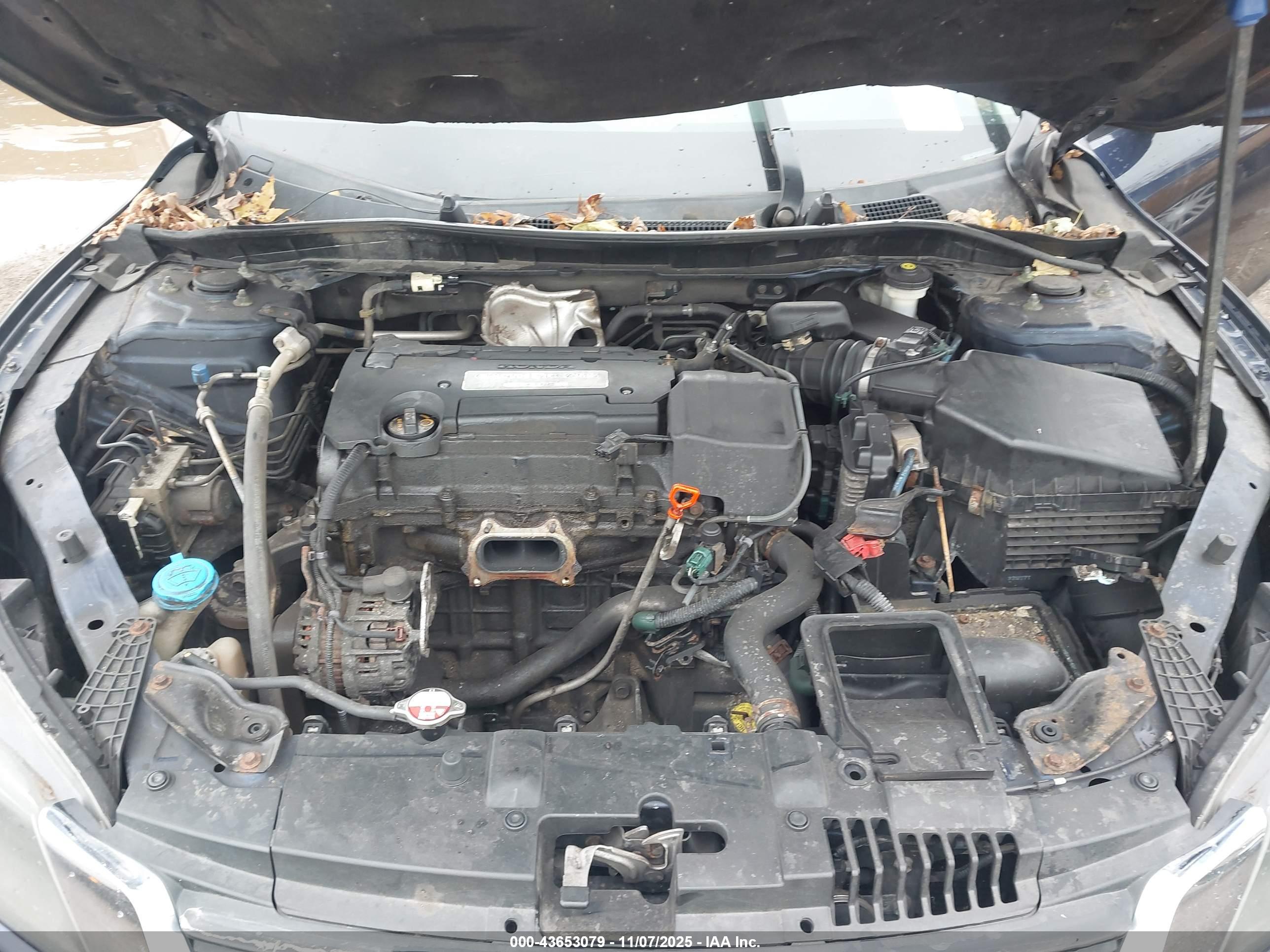 HONDA ACCORD image 10