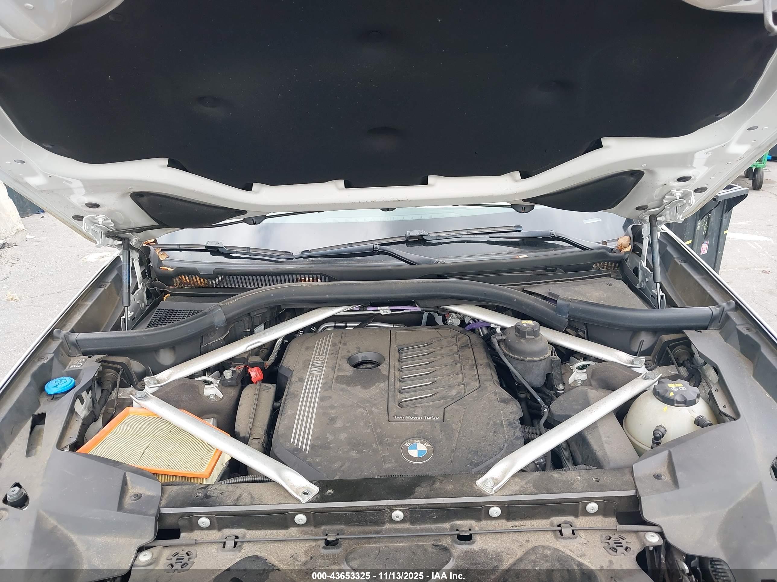 BMW X7 image 10