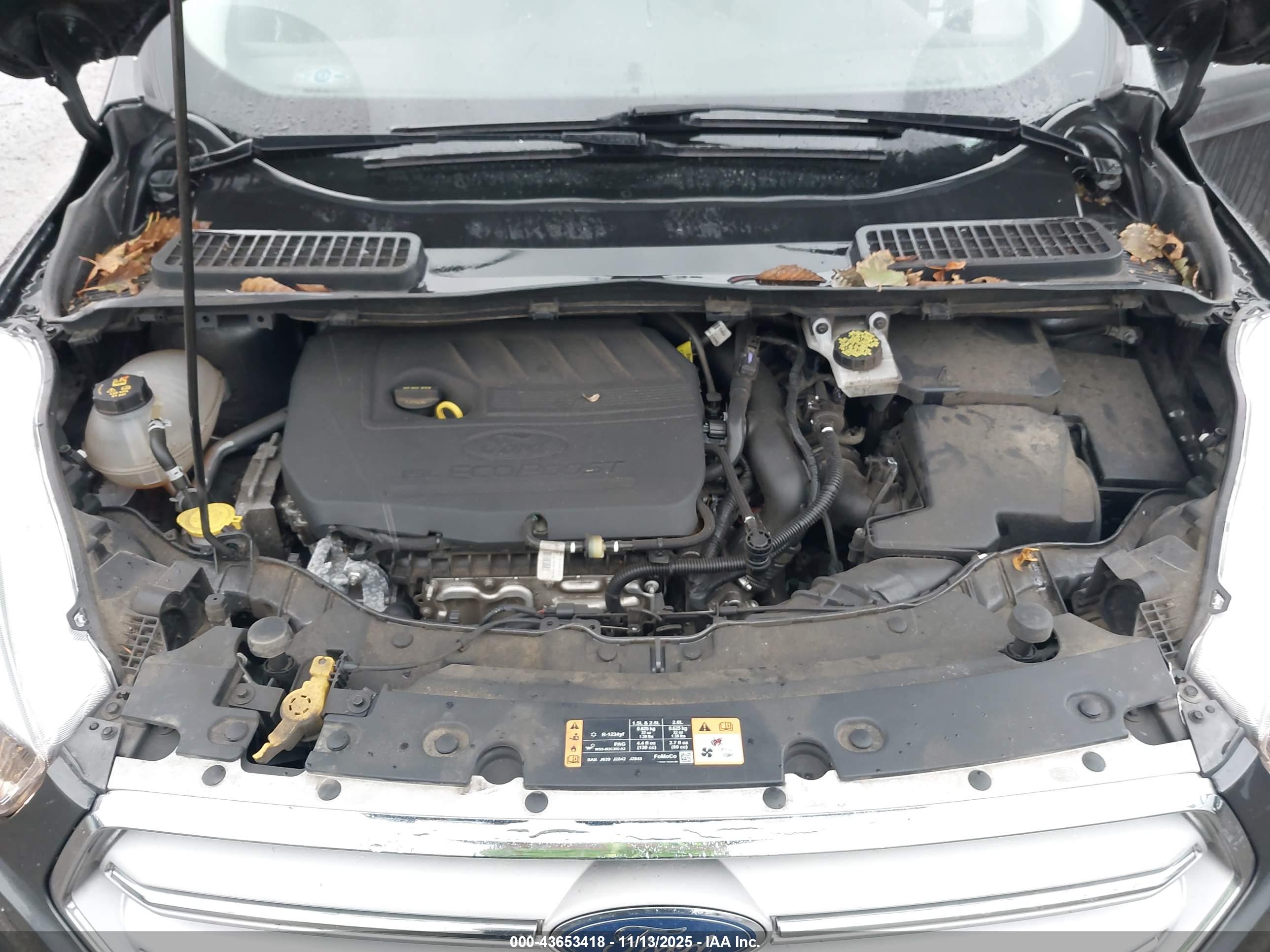 FORD ESCAPE image 10