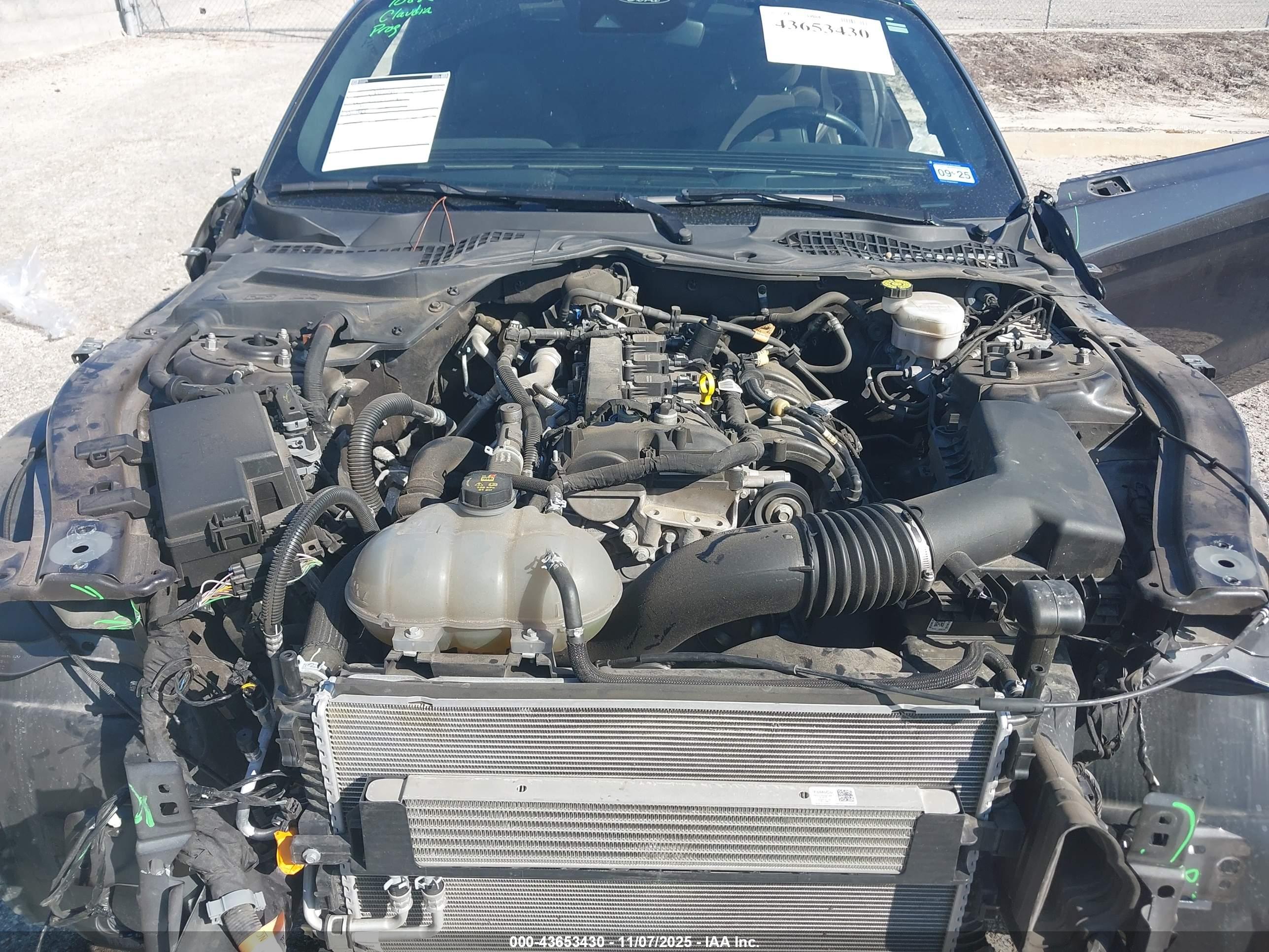 FORD MUSTANG image 10