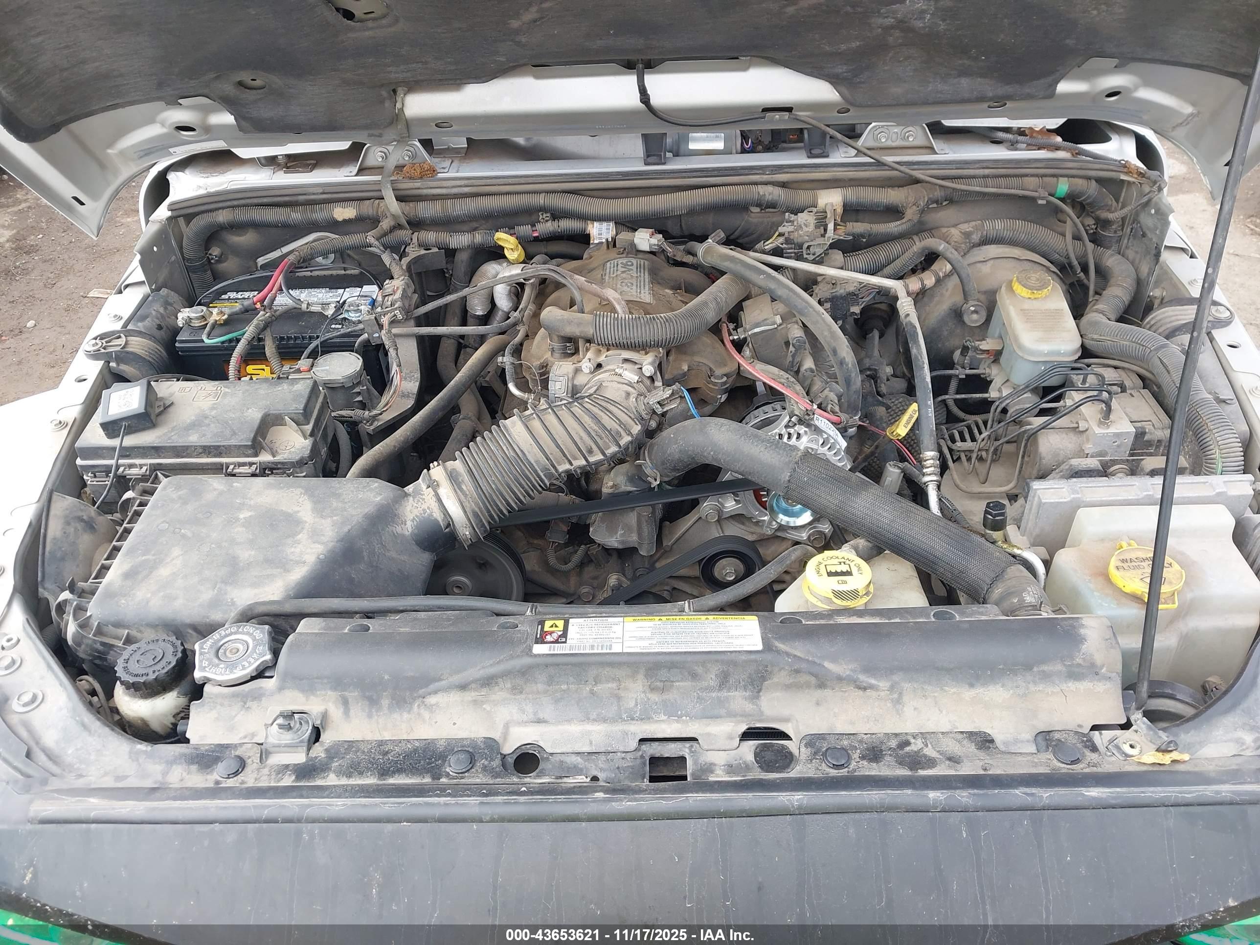 JEEP WRANGLER image 10