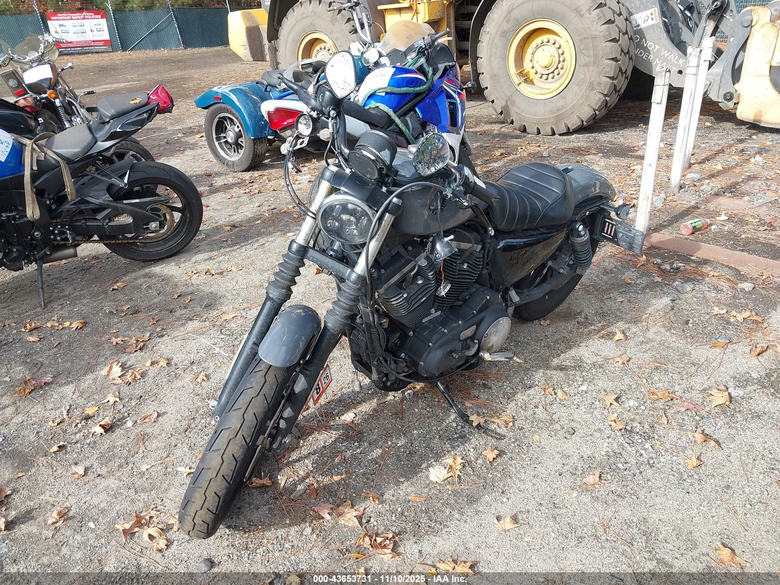 HARLEY-DAVIDSON XL883 image 2