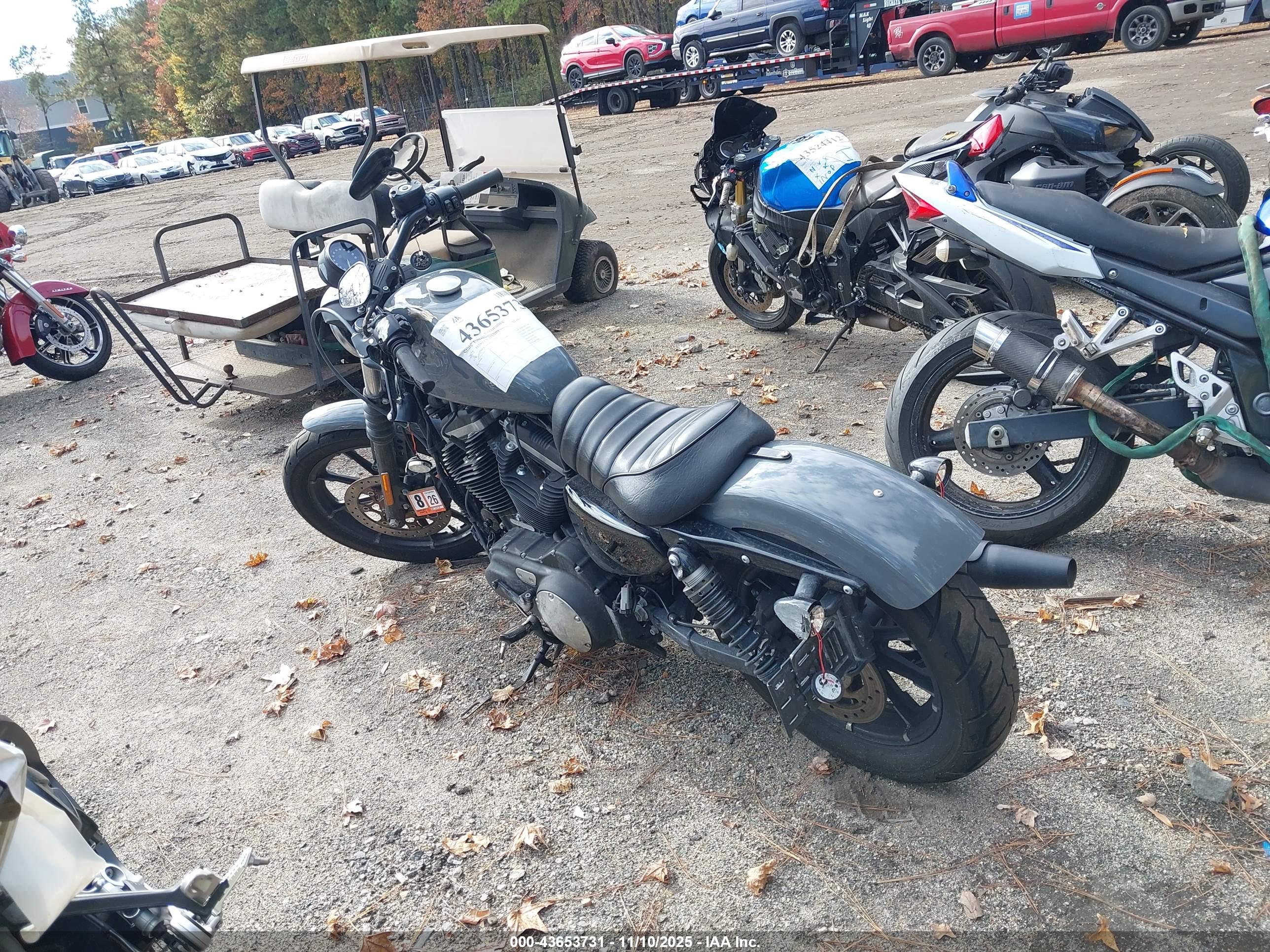 HARLEY-DAVIDSON XL883 image 3