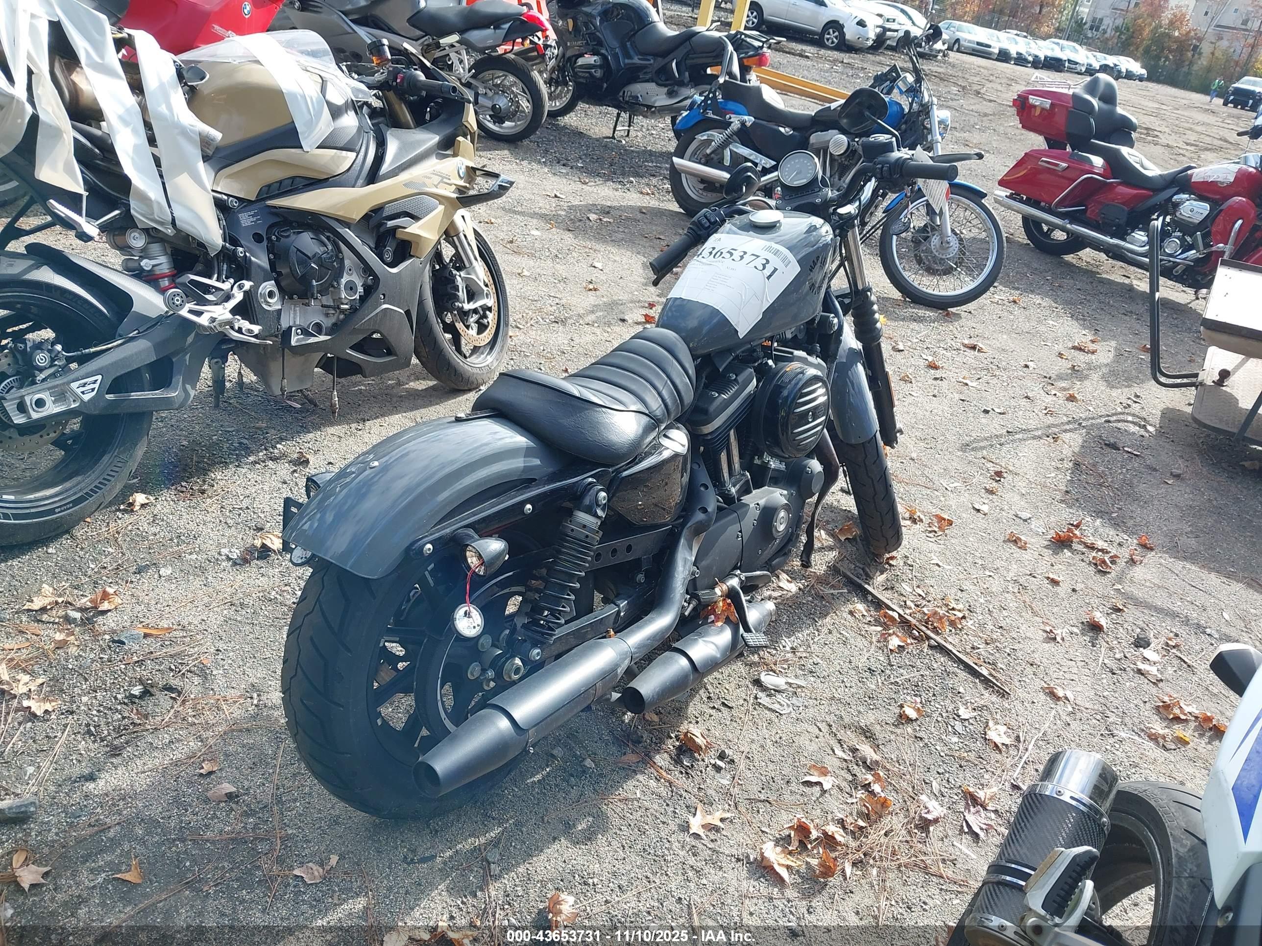 HARLEY-DAVIDSON XL883 image 4