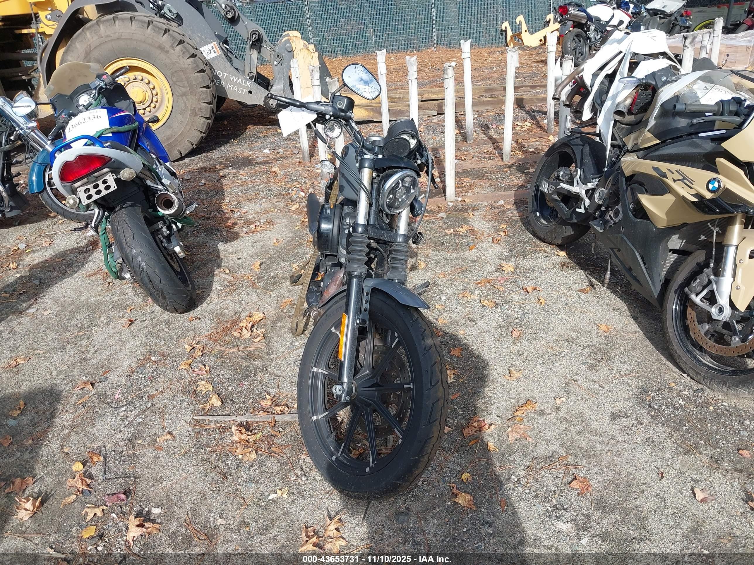 HARLEY-DAVIDSON XL883 image 5