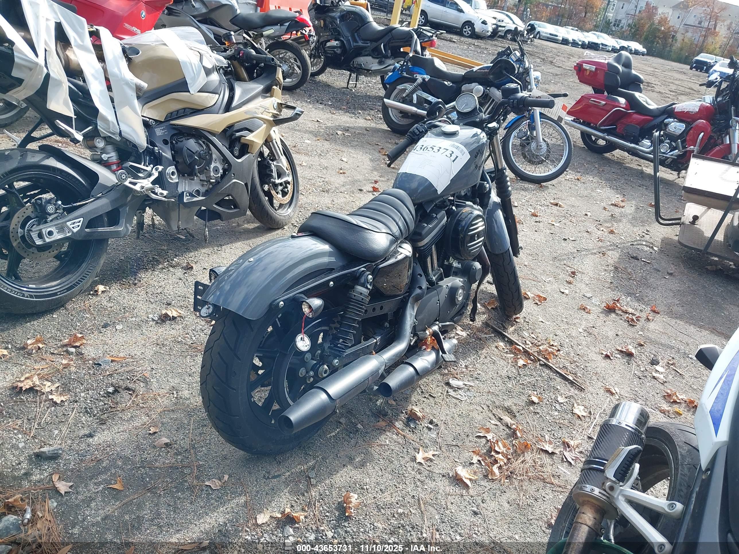 HARLEY-DAVIDSON XL883 image 6