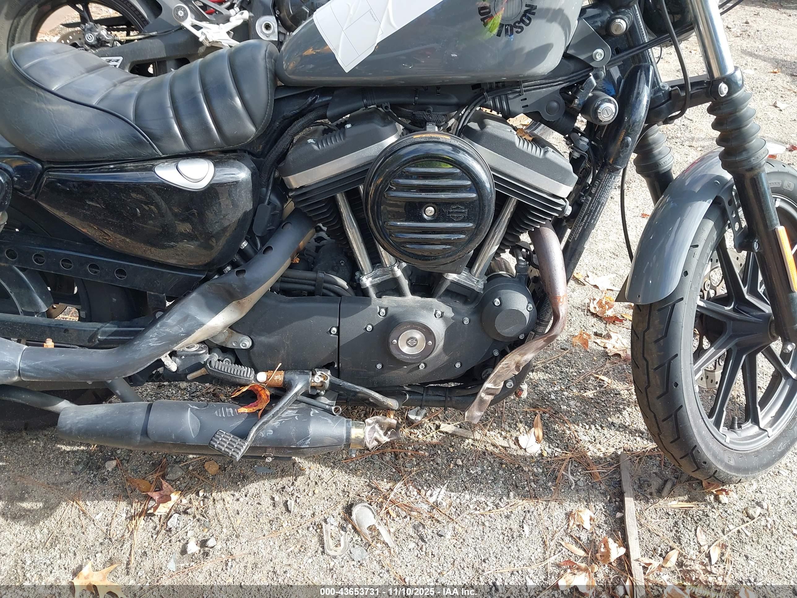 HARLEY-DAVIDSON XL883 image 8