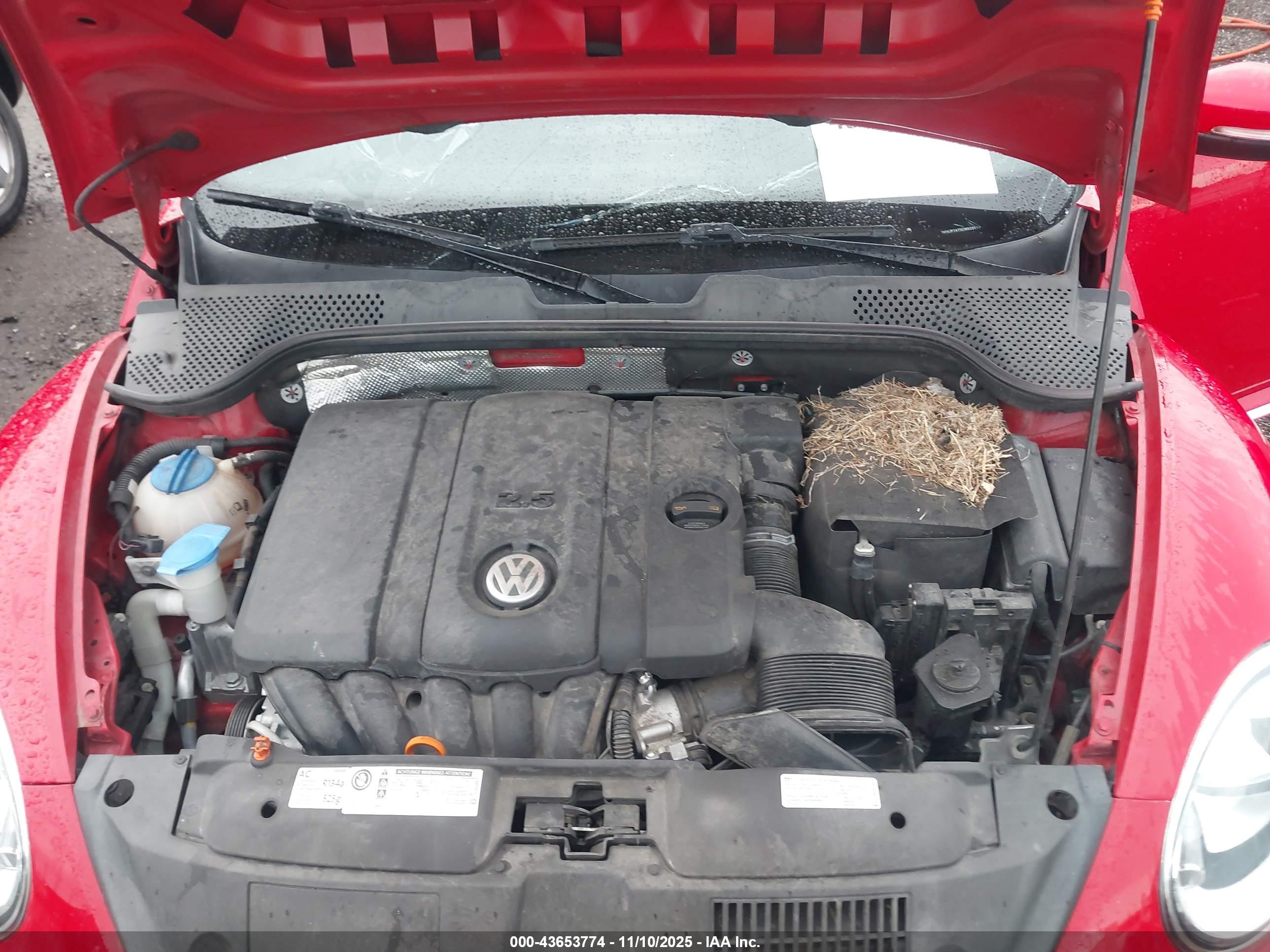 VOLKSWAGEN BEETLE image 10