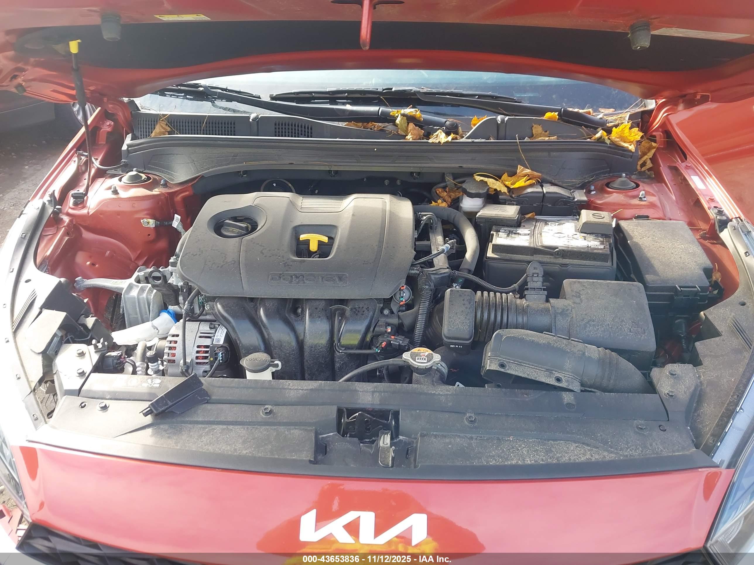 KIA FORTE image 10