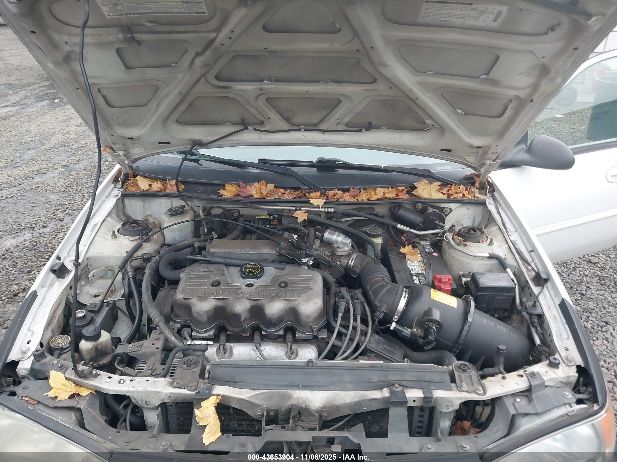 FORD ESCORT image 10