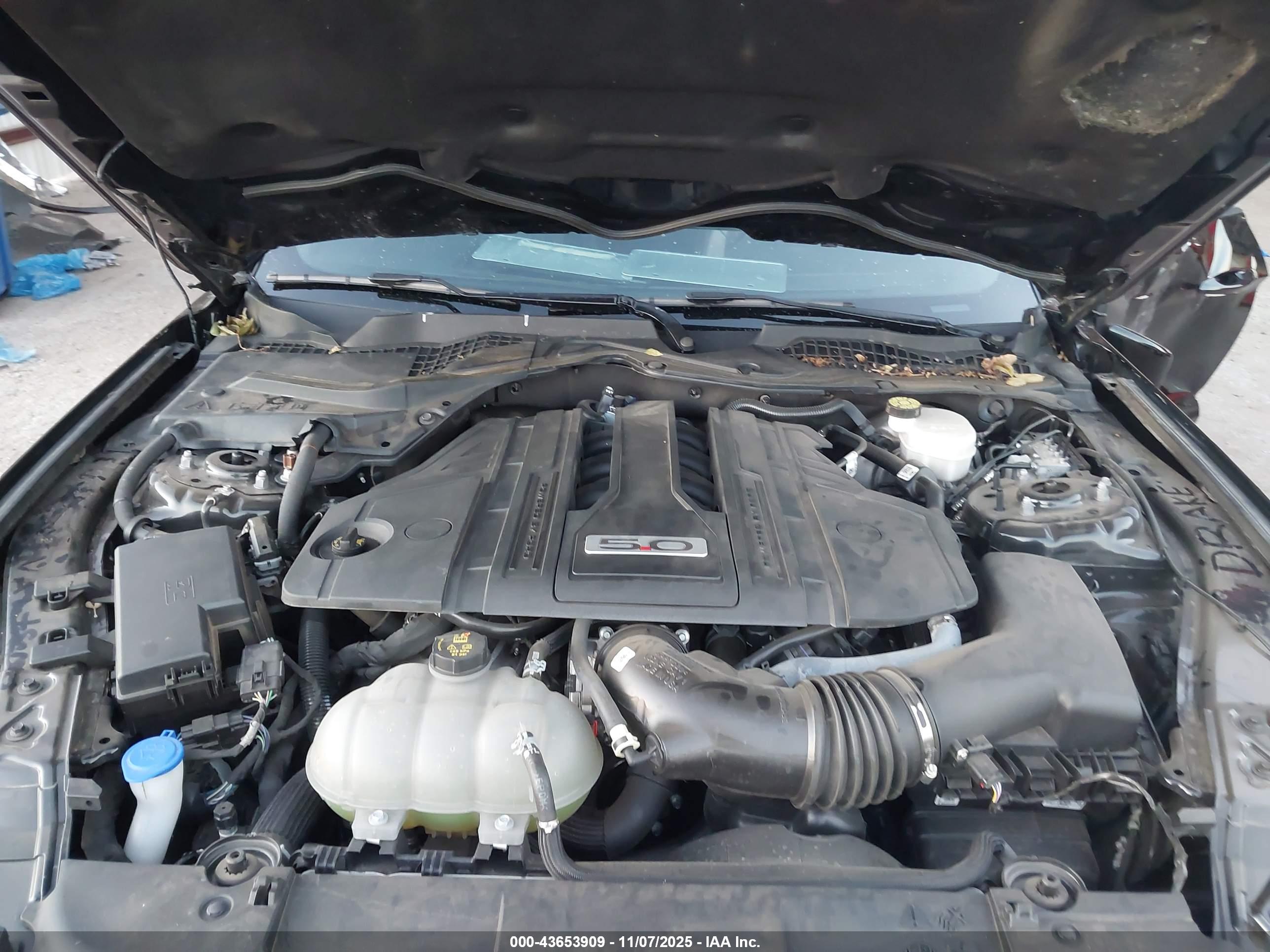 FORD MUSTANG image 10