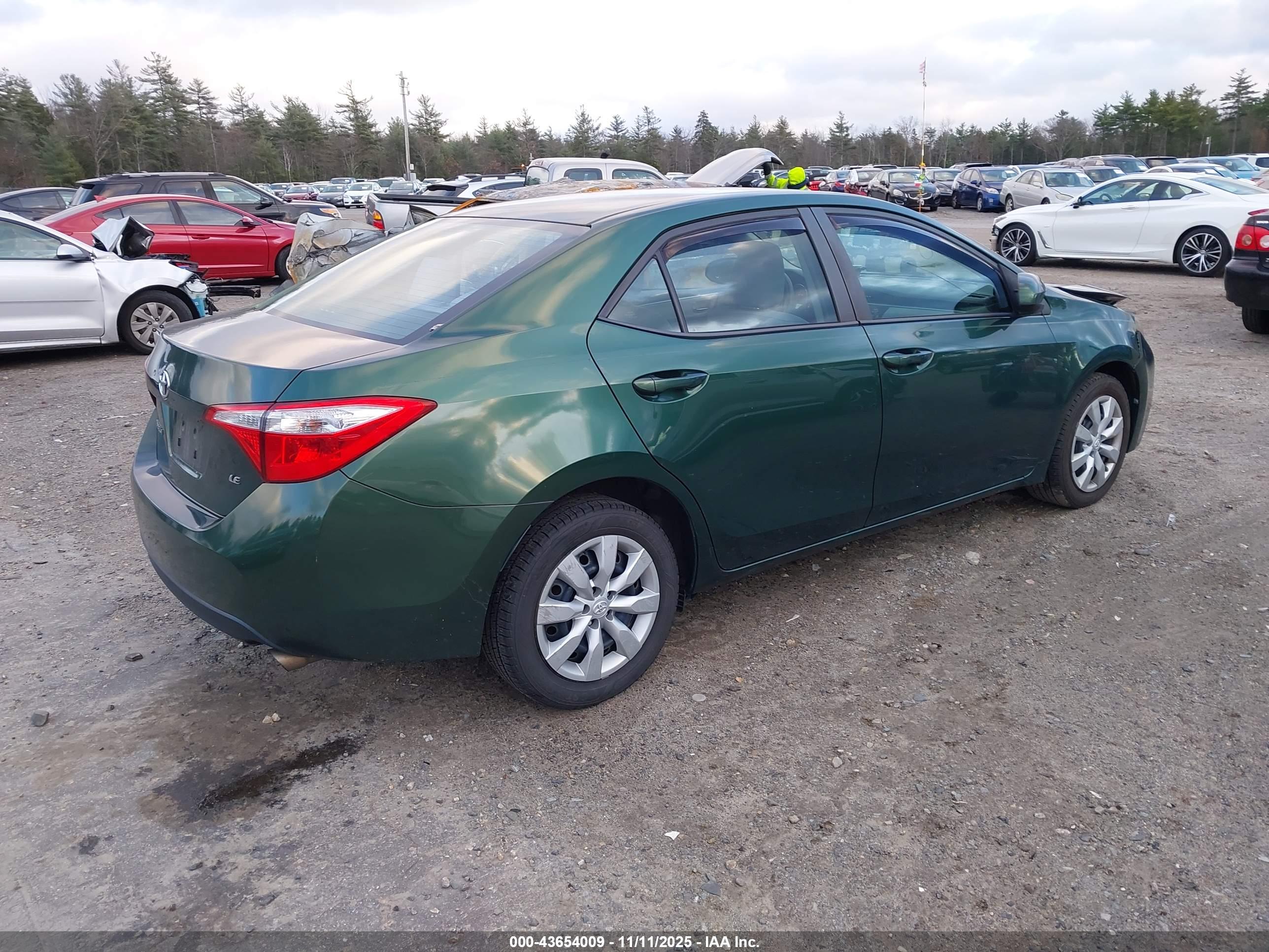 TOYOTA COROLLA image 4