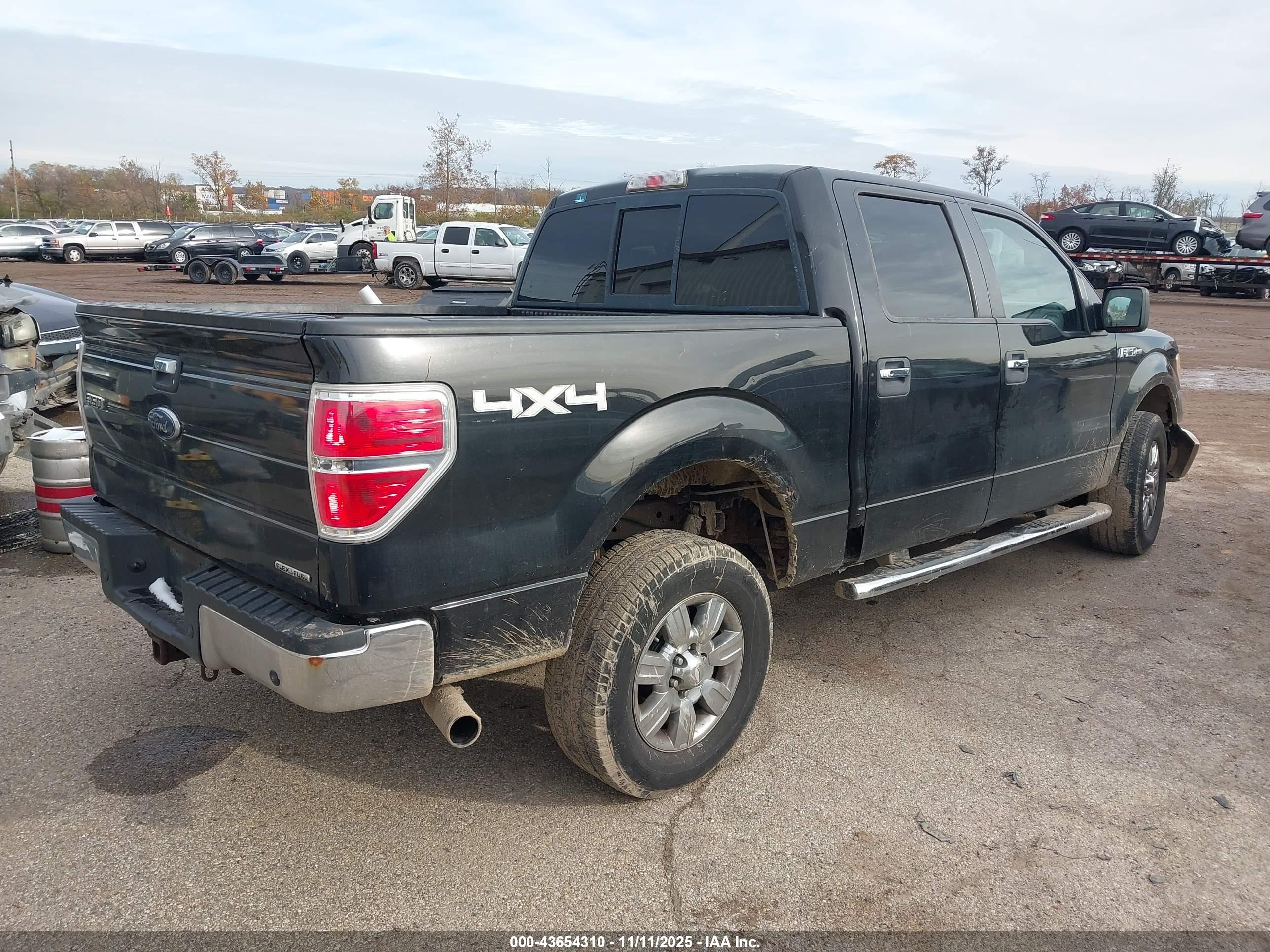 FORD F-150 image 4