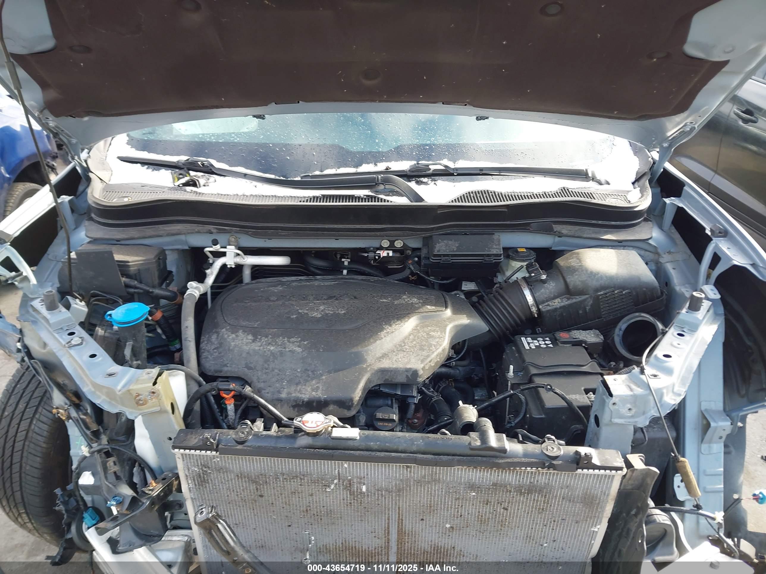 HONDA PASSPORT image 10