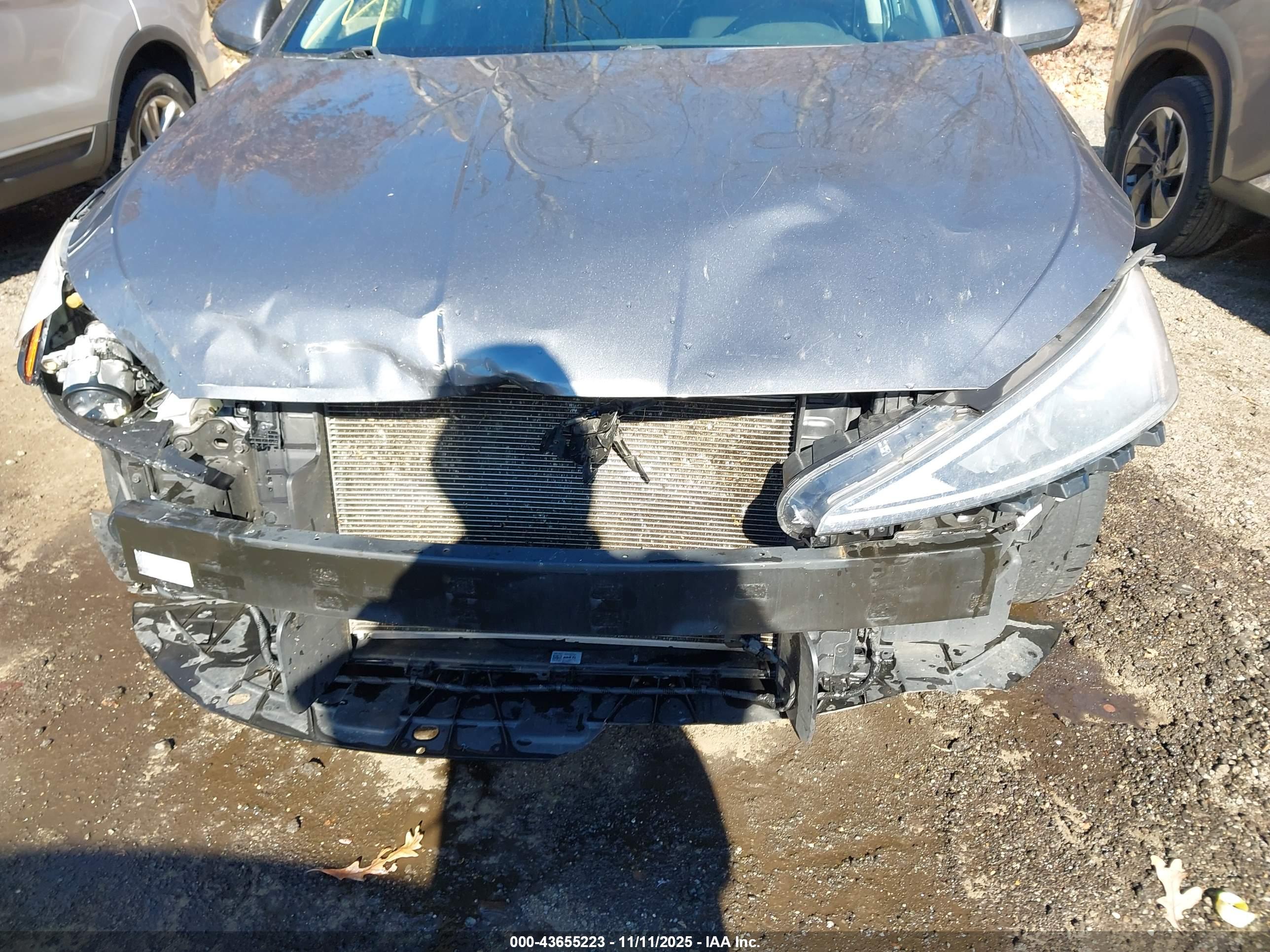 HYUNDAI ELANTRA image 6