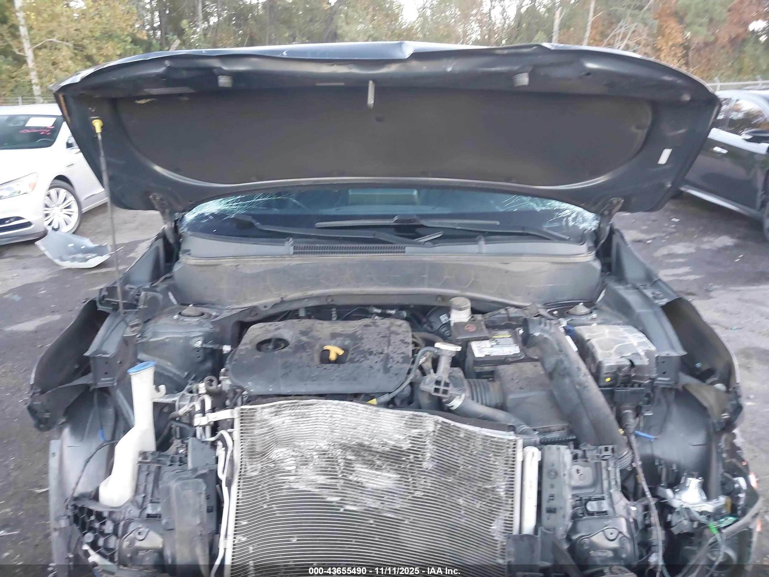 KIA SELTOS image 10