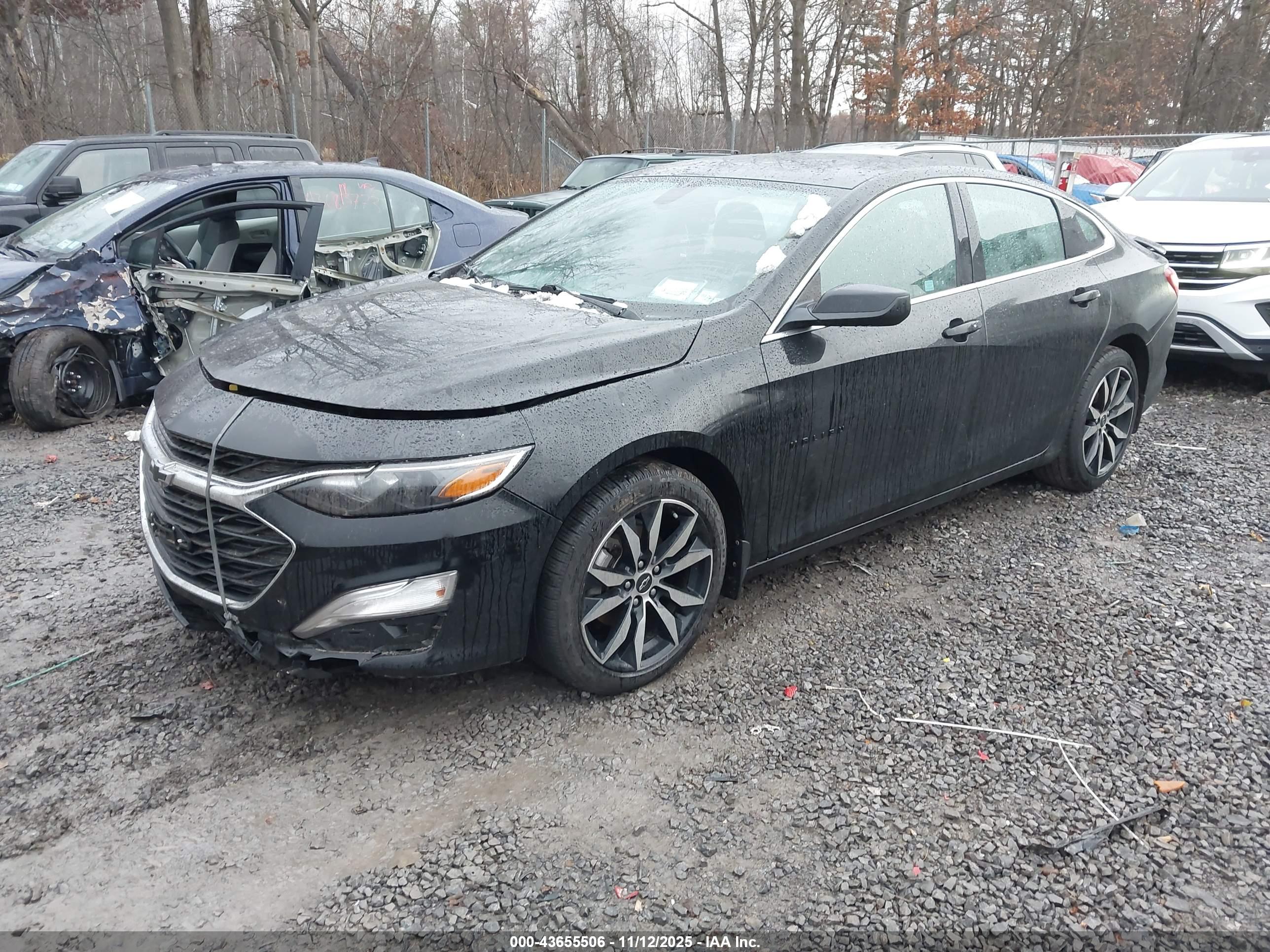 CHEVROLET MALIBU image 2