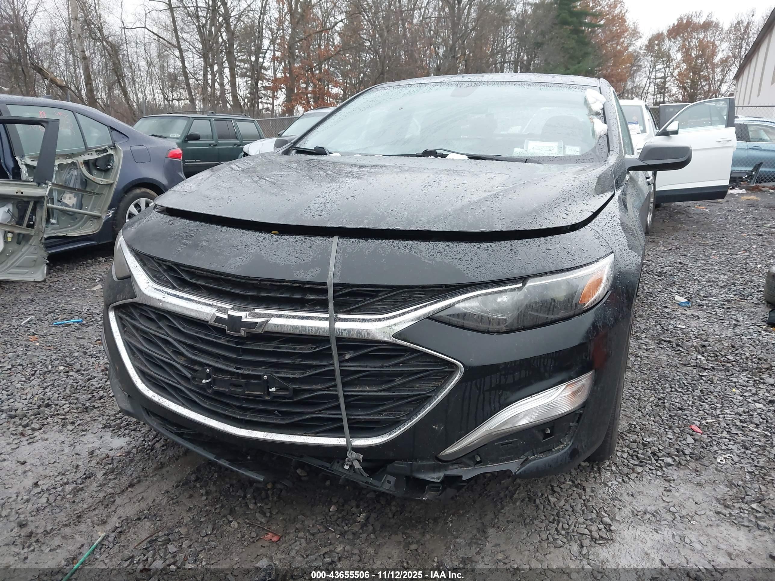CHEVROLET MALIBU image 6