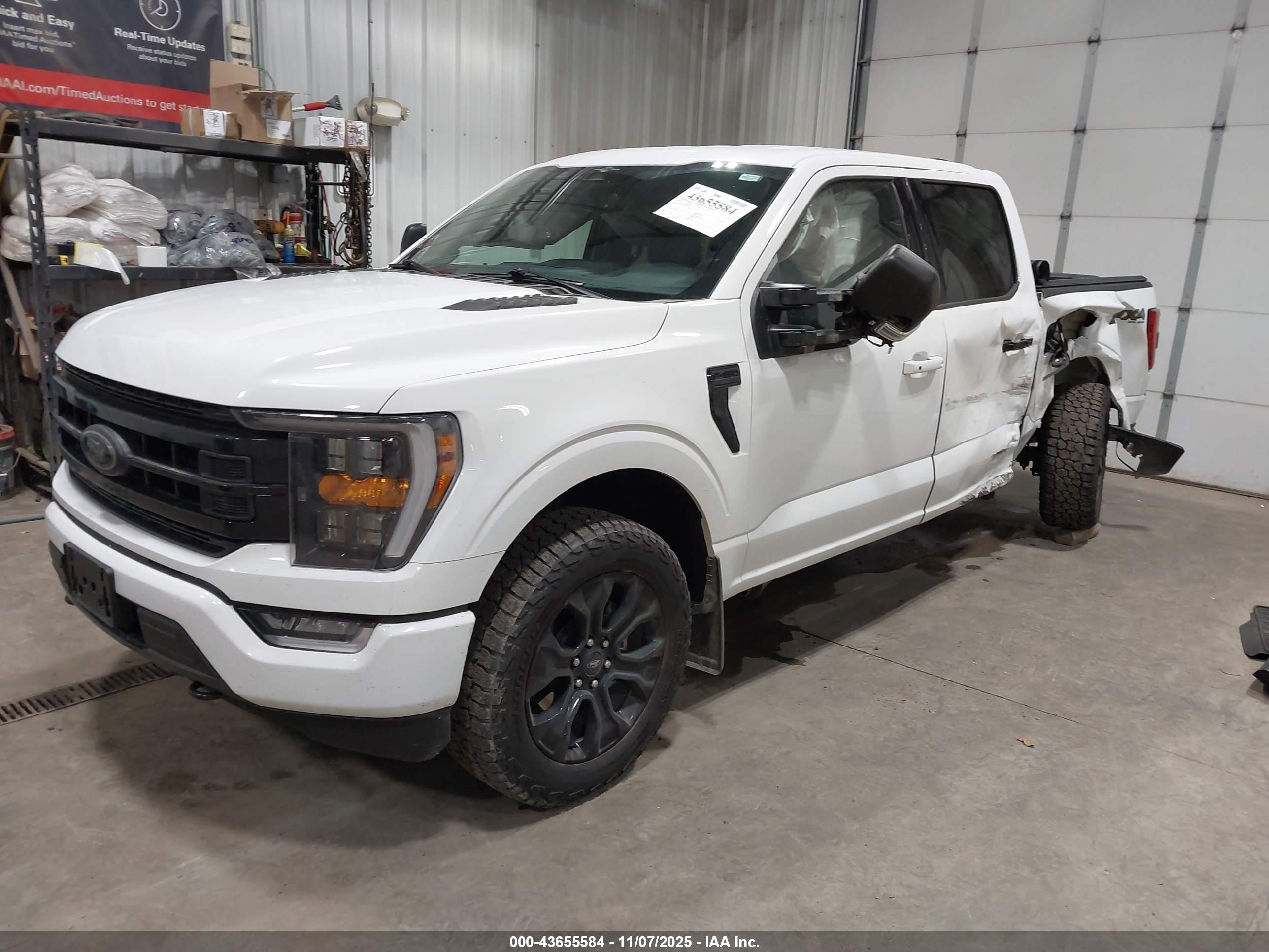 FORD F-150 image 2