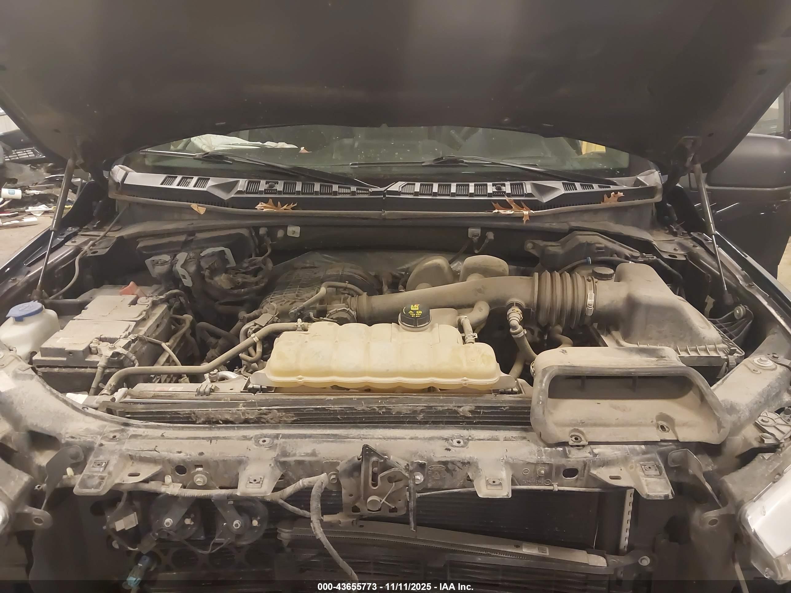 FORD F-150 image 10