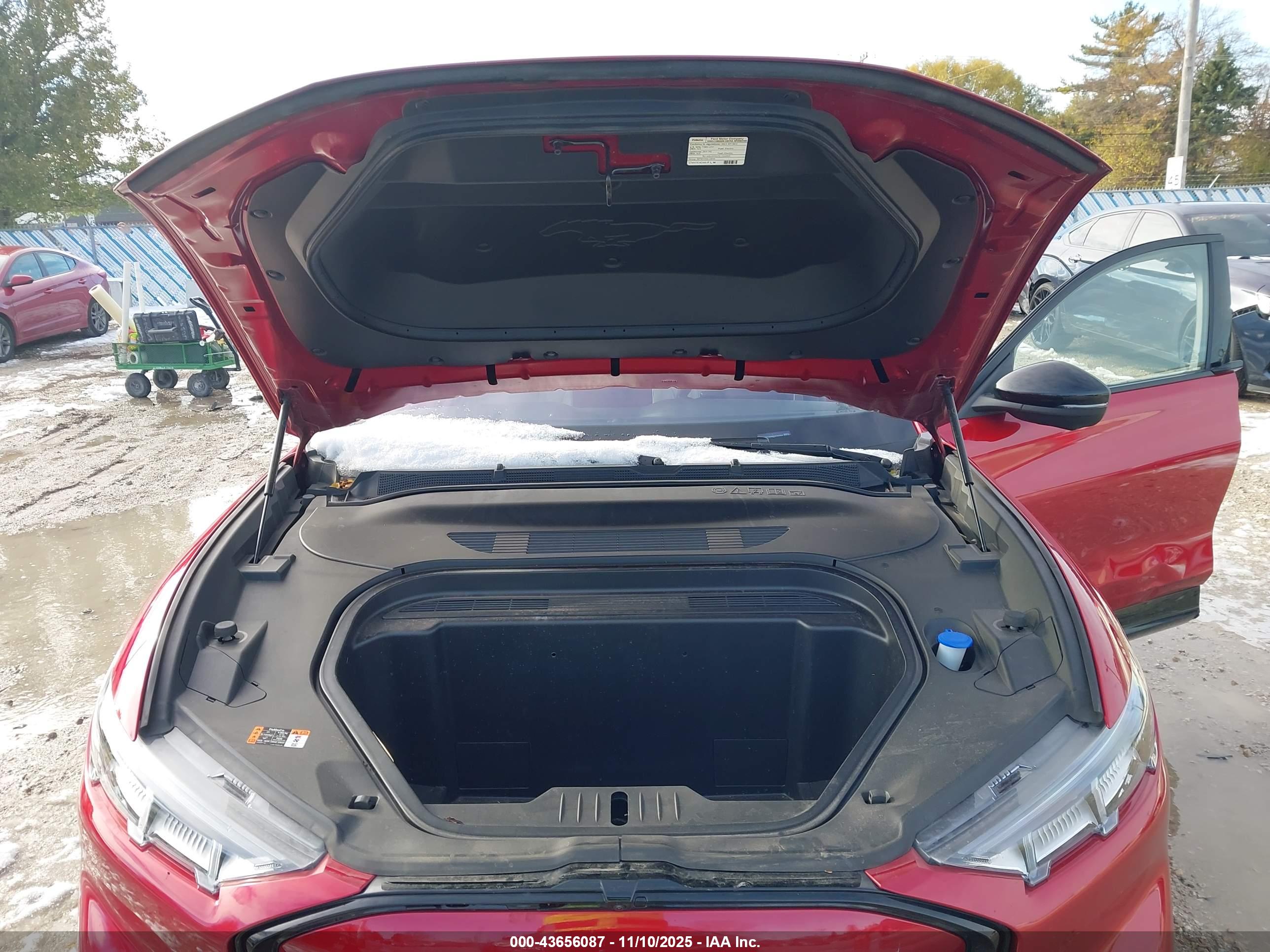FORD MUSTANG image 10