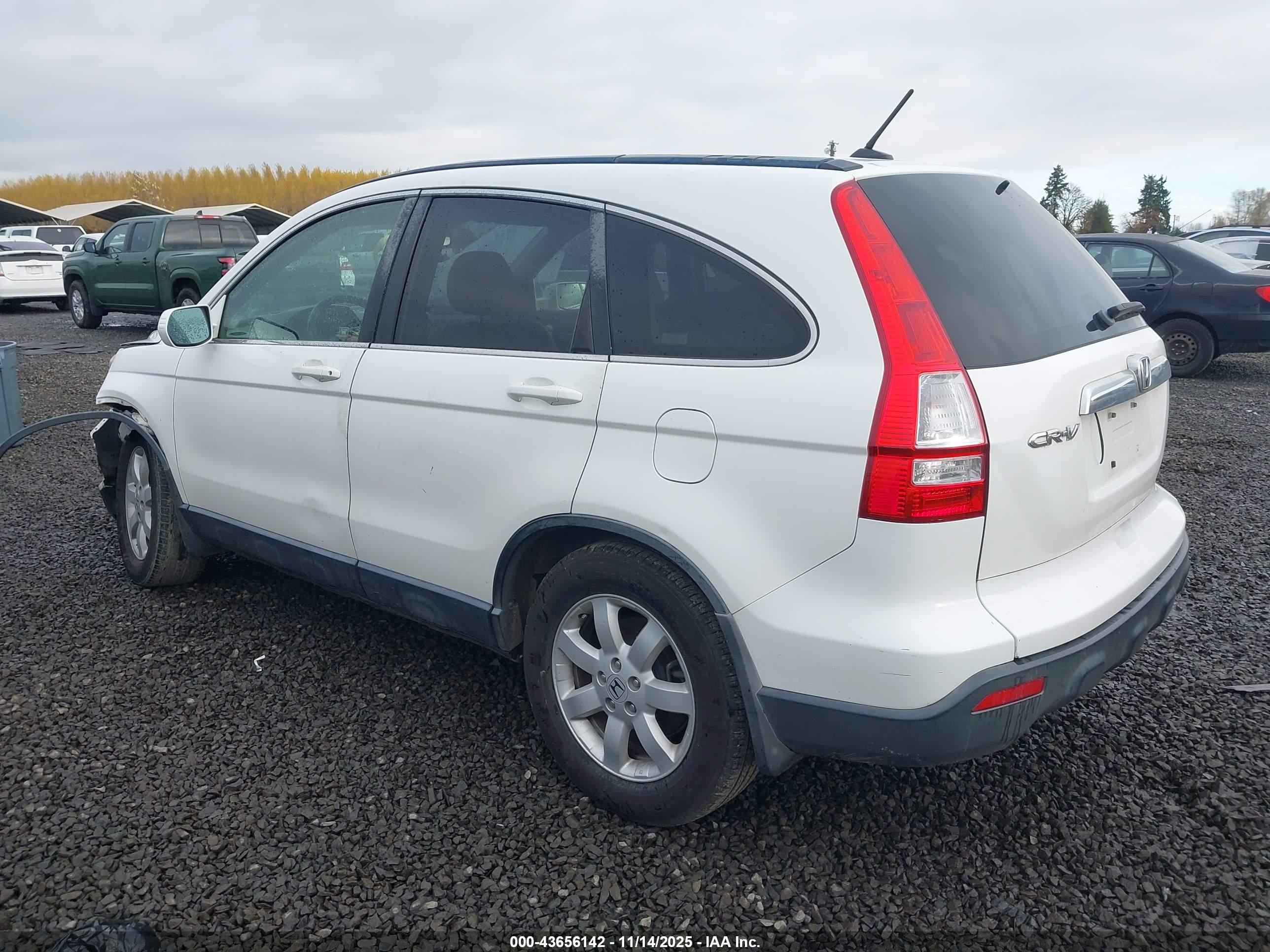 HONDA CR-V image 3