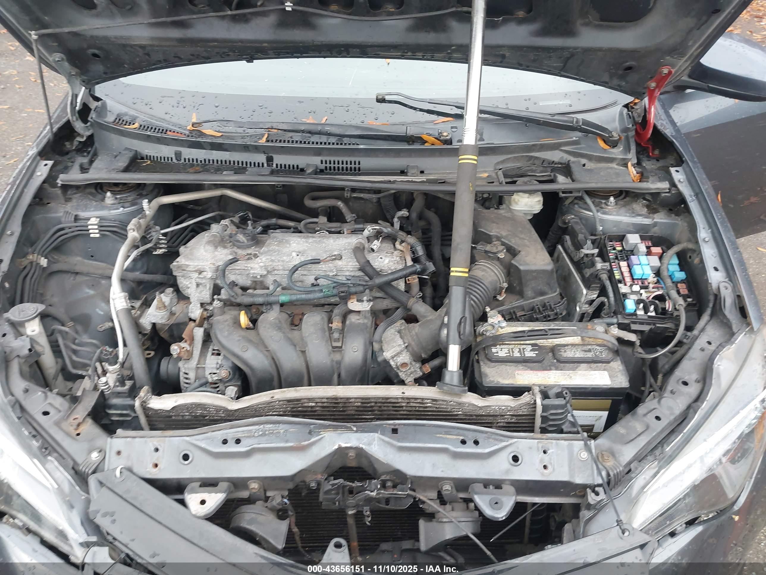 TOYOTA COROLLA image 10