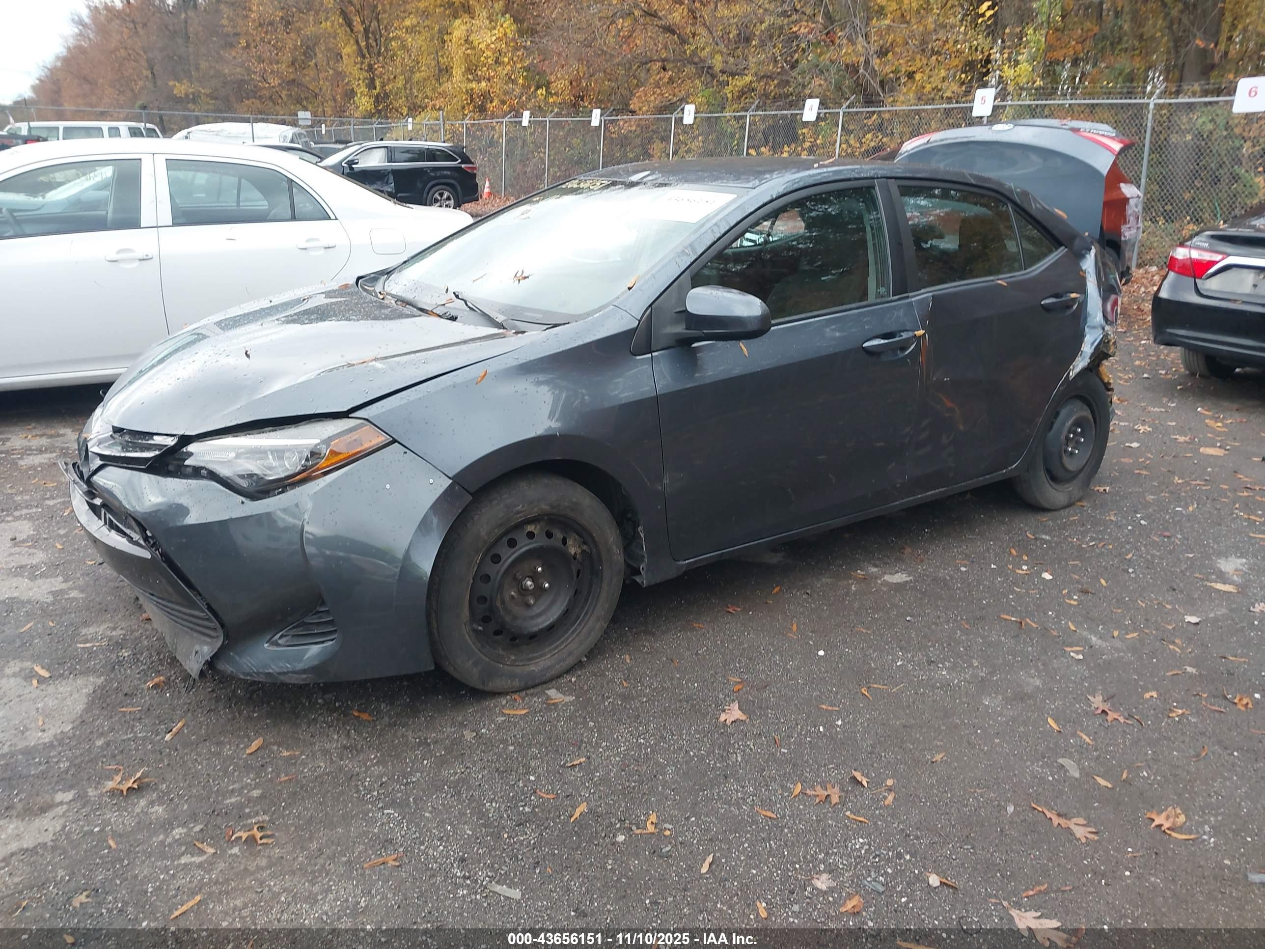 TOYOTA COROLLA image 2